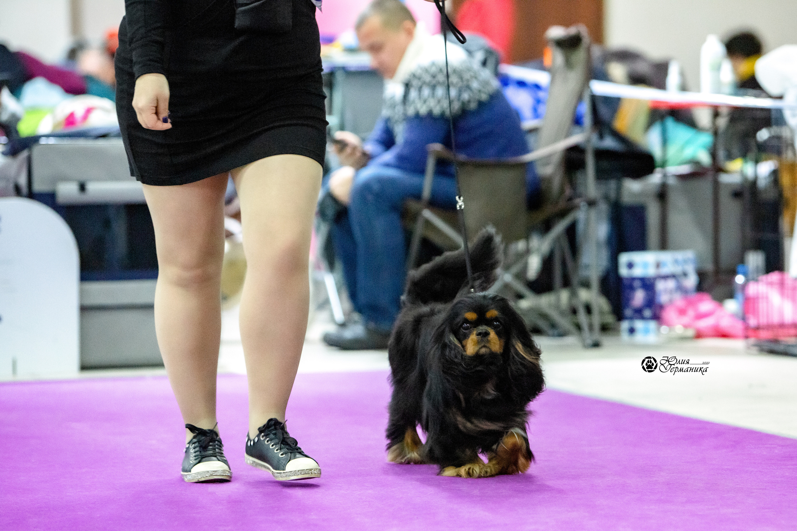 Чайна-Таун 8 января 2022. Фотограф-анималист Юлия Германика