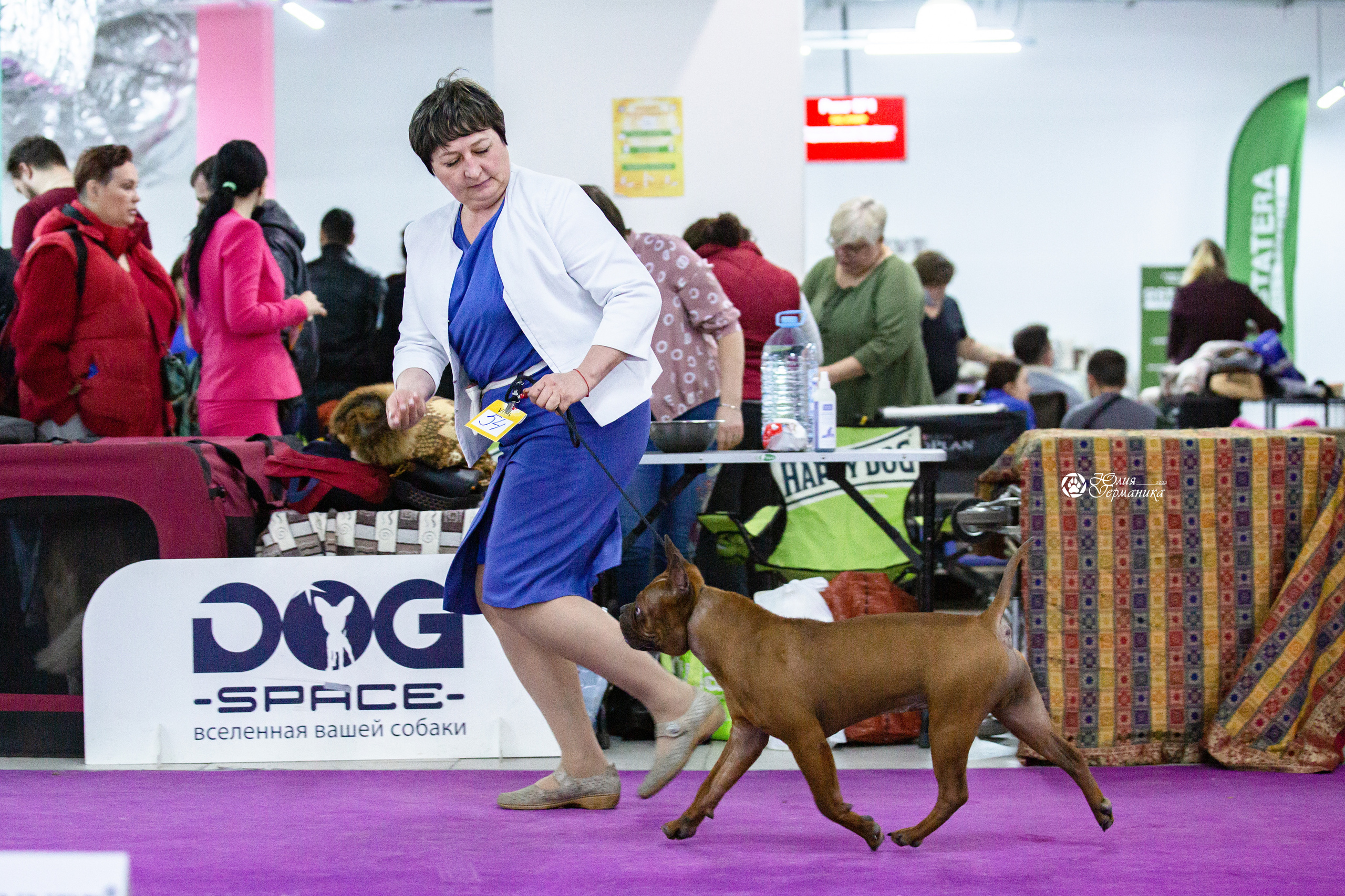 Чайна-Таун 12-13 февраля 2022. Фотограф-анималист Юлия Германика