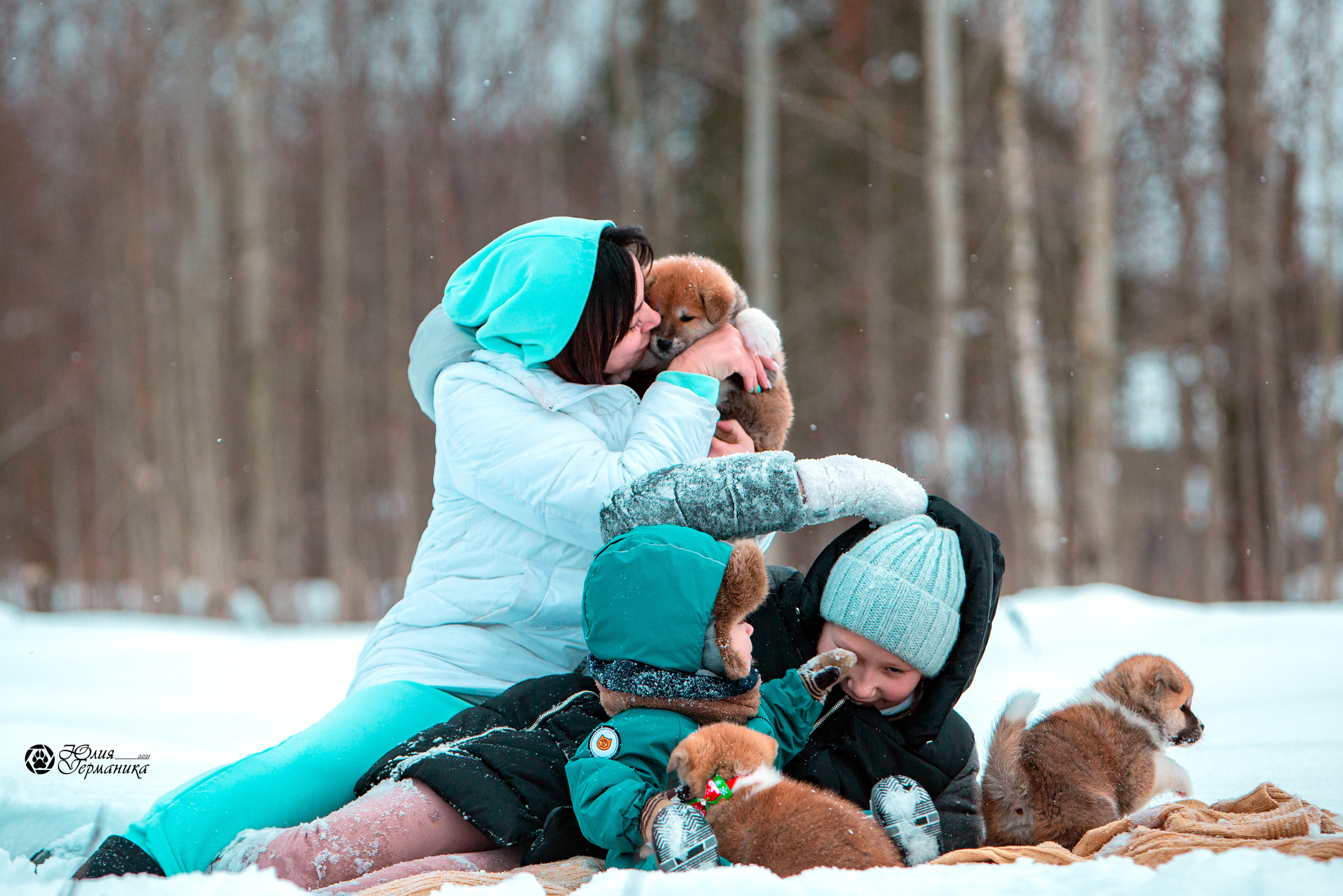 Свободная съемка. Фотограф-анималист Юлия Германика