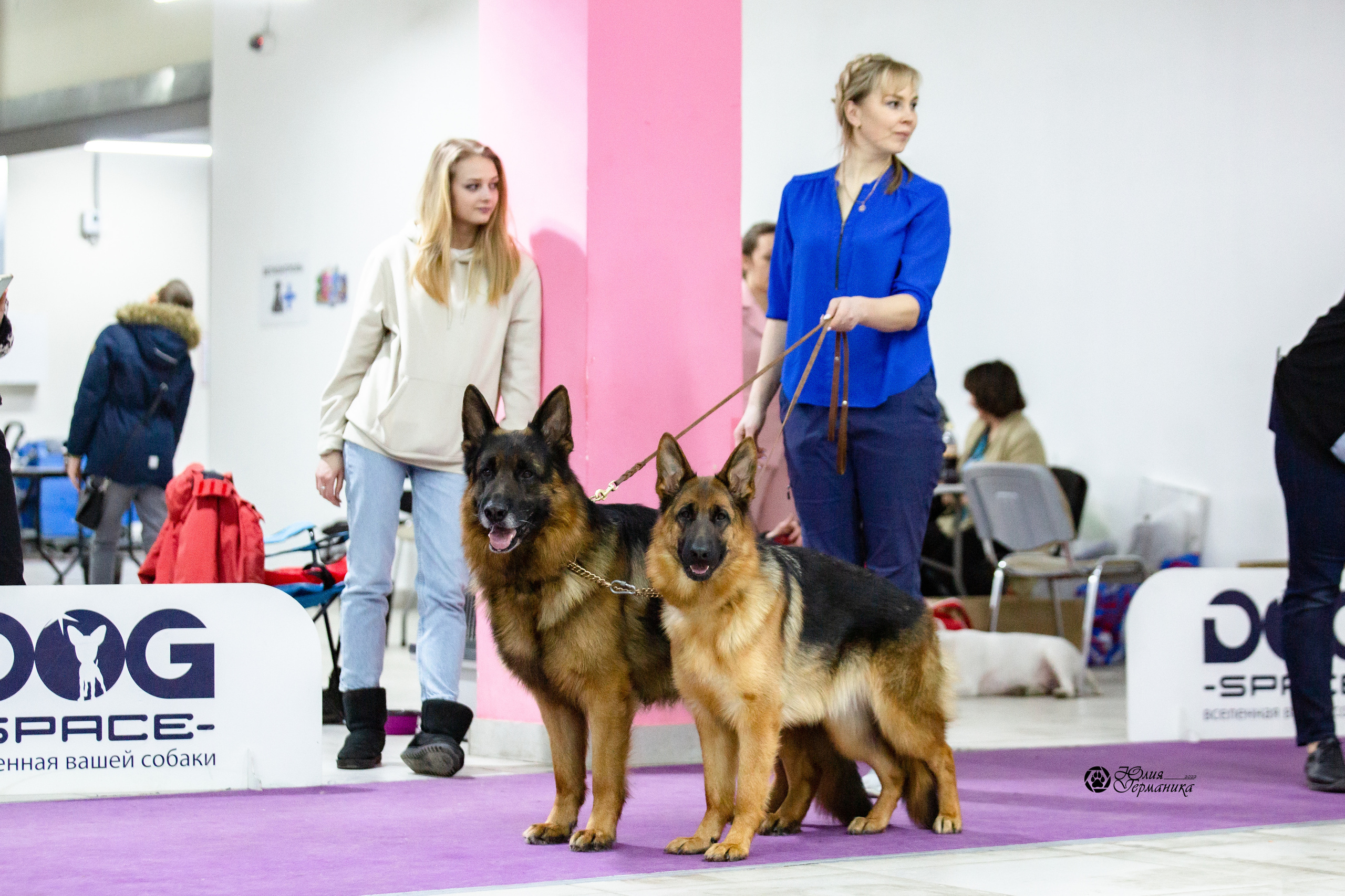 Чайна-Таун 12-13 февраля 2022. Фотограф-анималист Юлия Германика