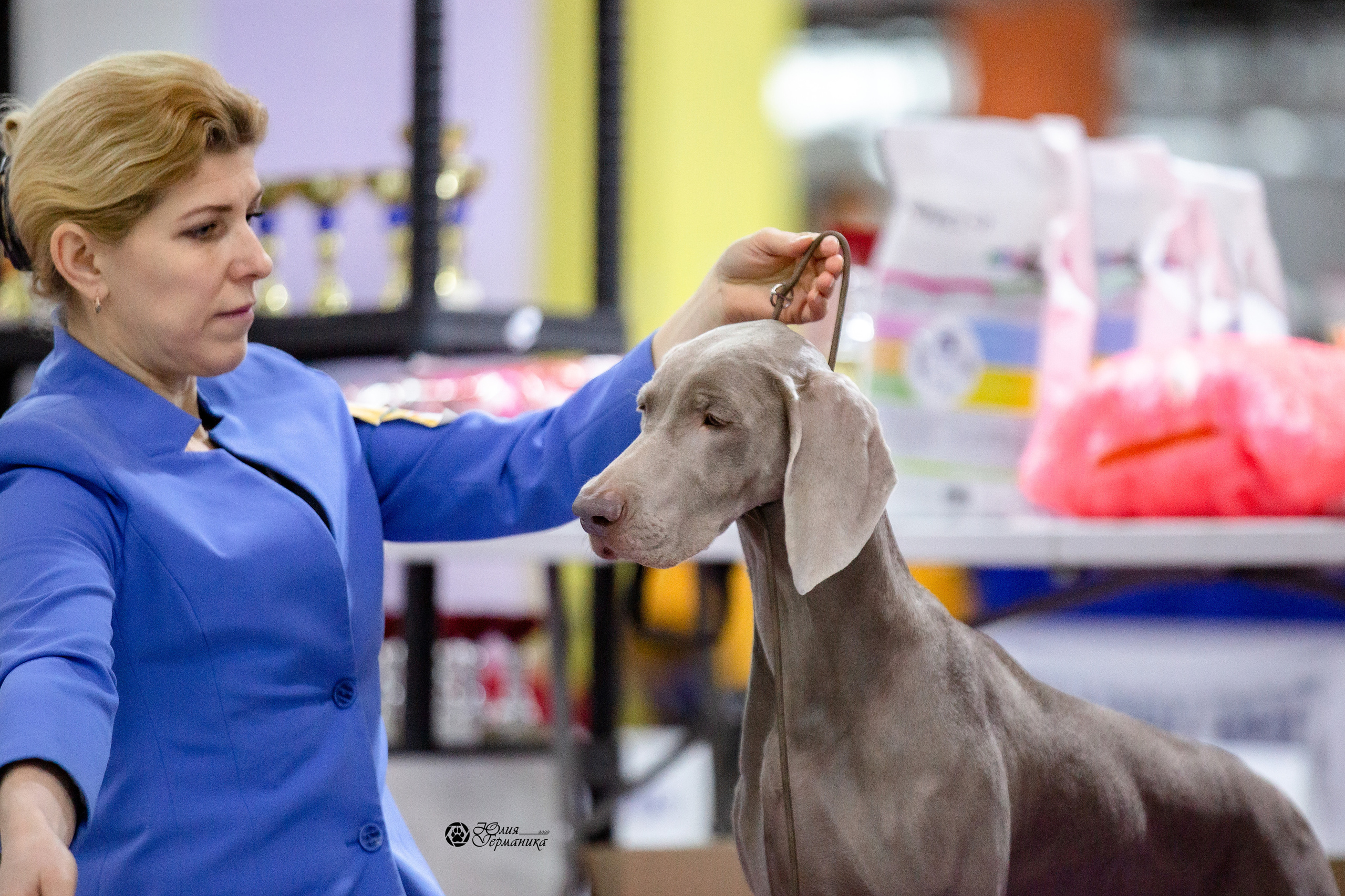 Чайна-Таун 29-30 января 2022. Фотограф-анималист Юлия Германика