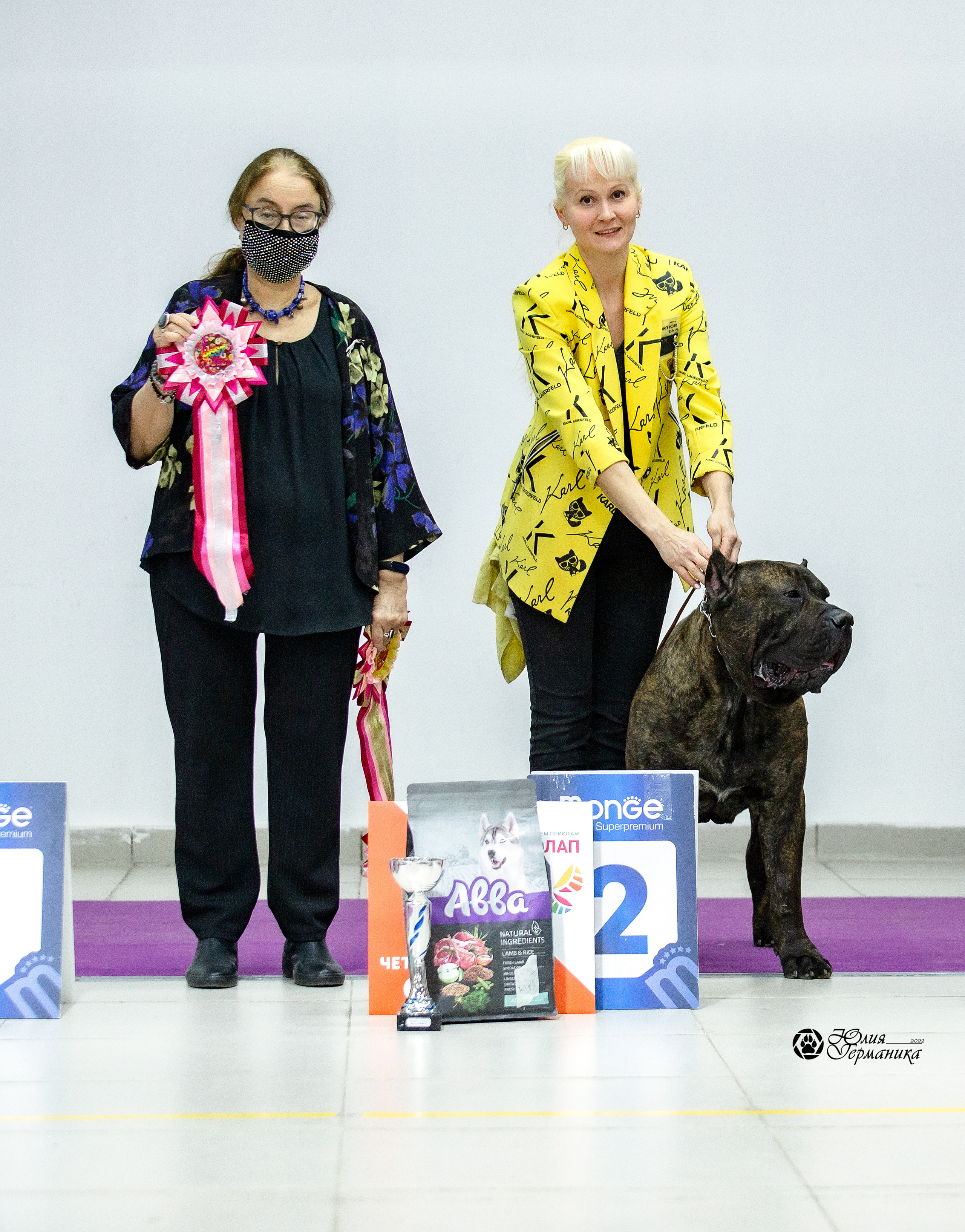 Чайна-Таун 29-30 января 2022. Фотограф-анималист Юлия Германика