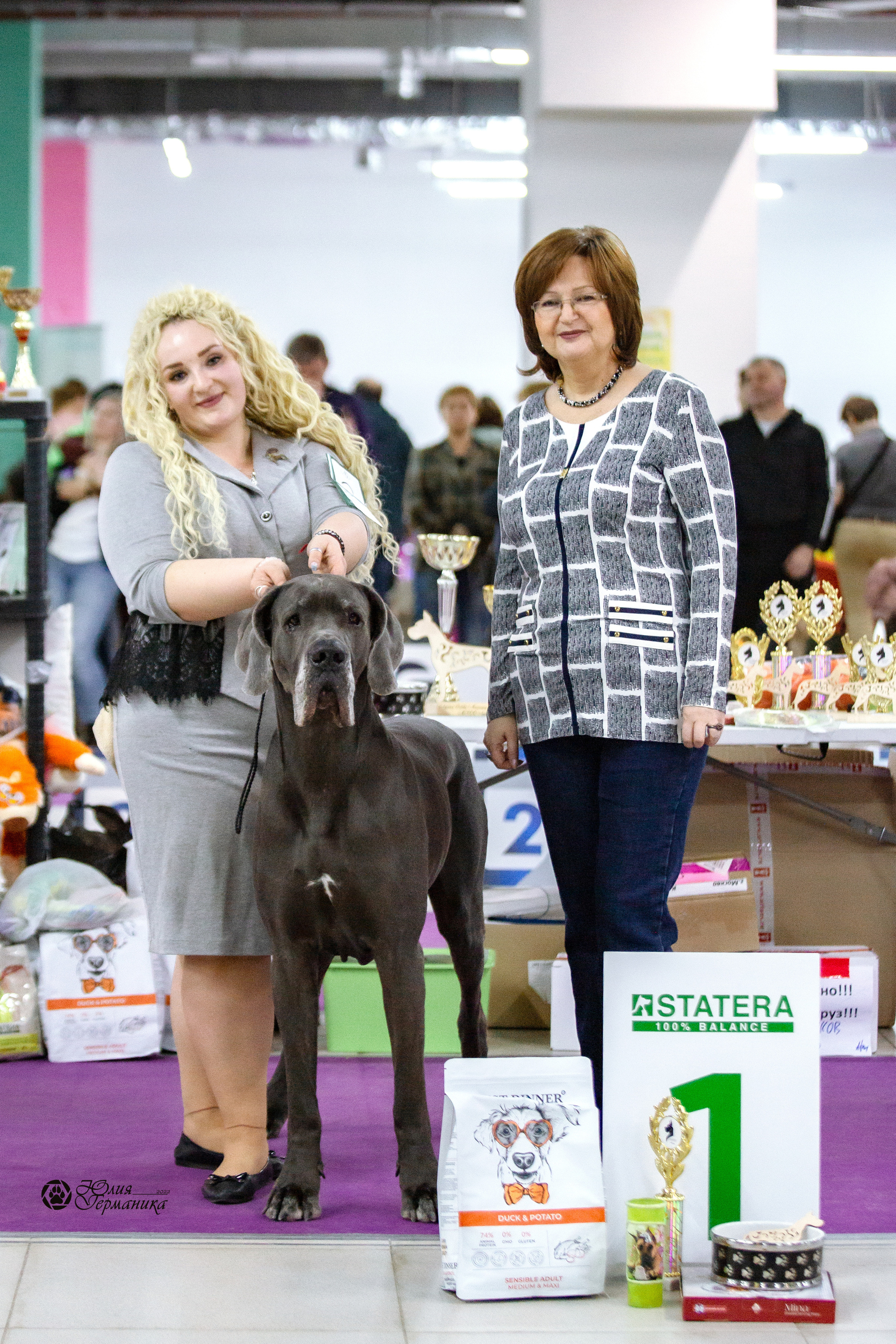 Чайна-Таун 23 февраля 2022. Фотограф-анималист Юлия Германика