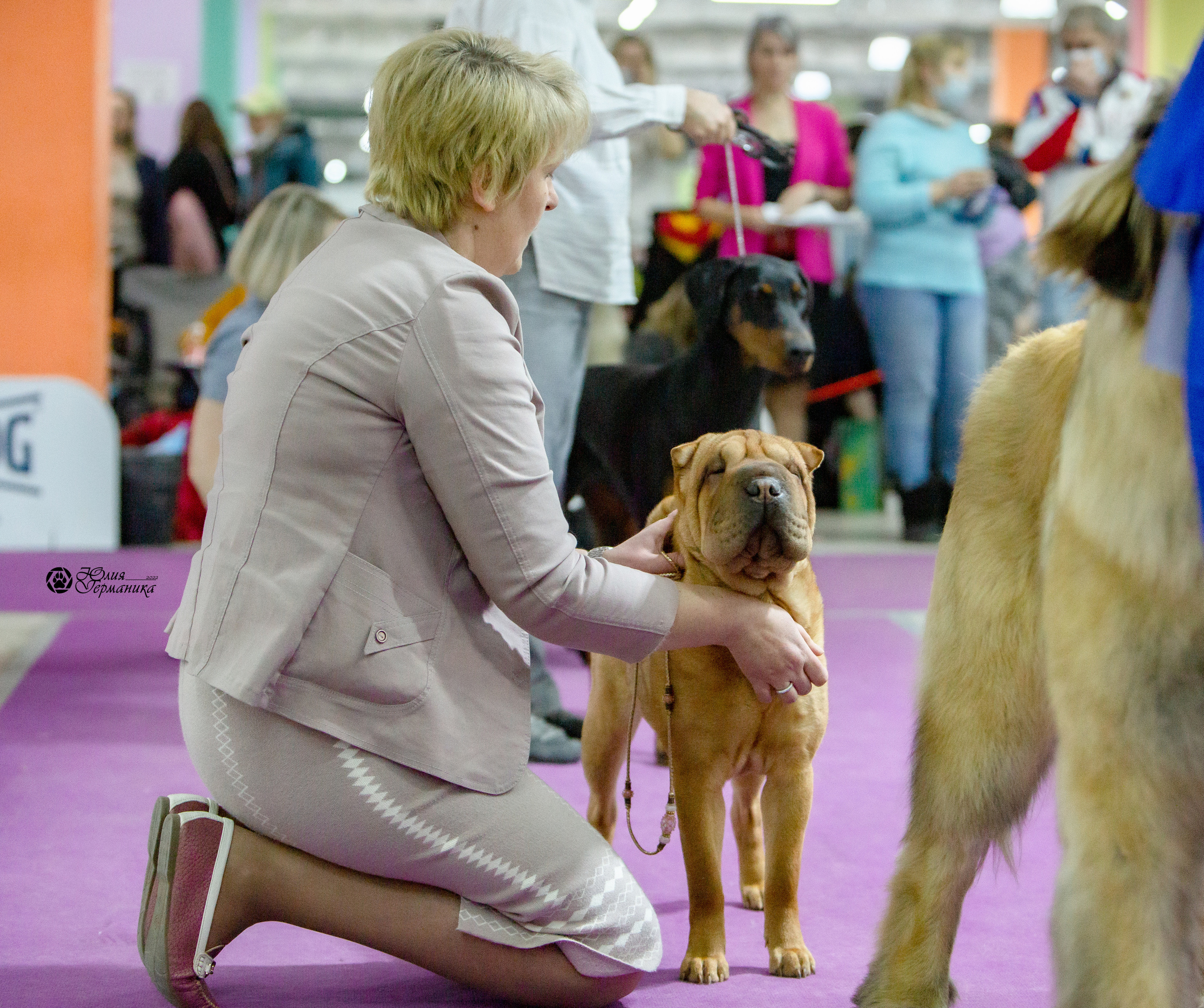 Чайна-Таун 8 января 2022. Фотограф-анималист Юлия Германика