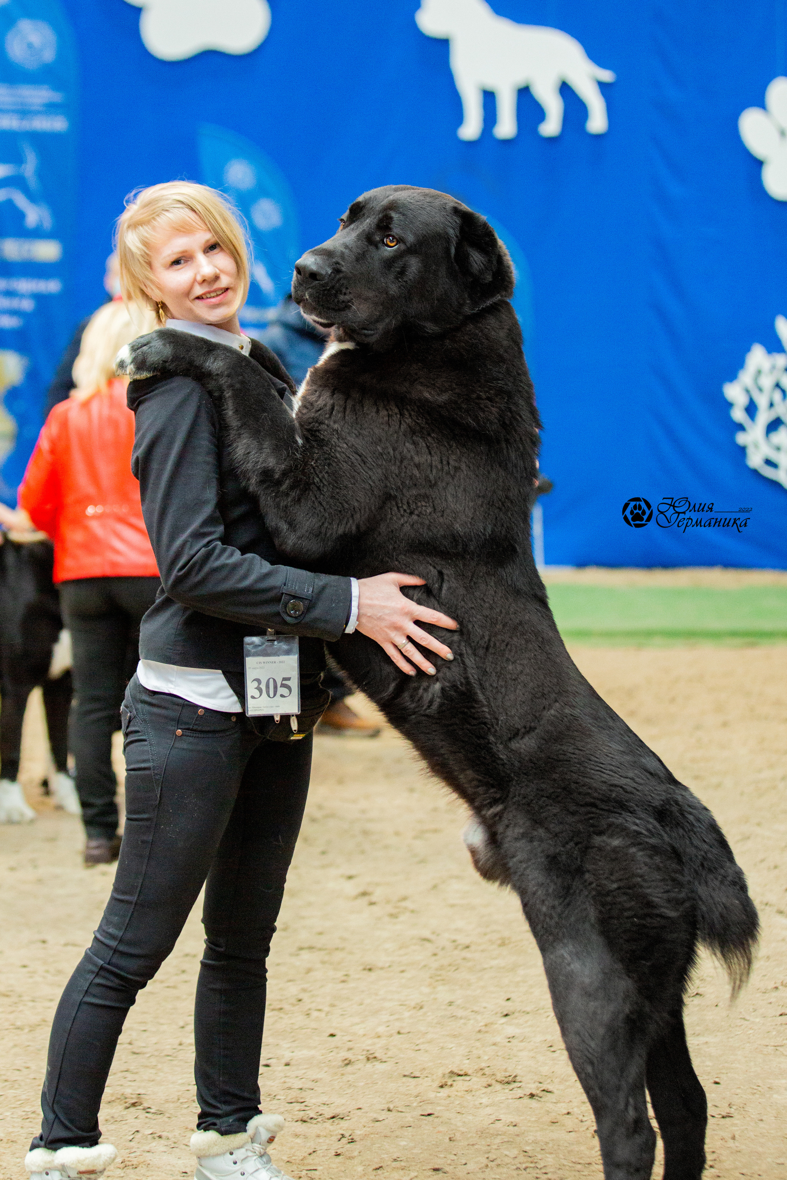 Минск 2хCACIB 5-6 марта 2022. Фотограф-анималист Юлия Германика