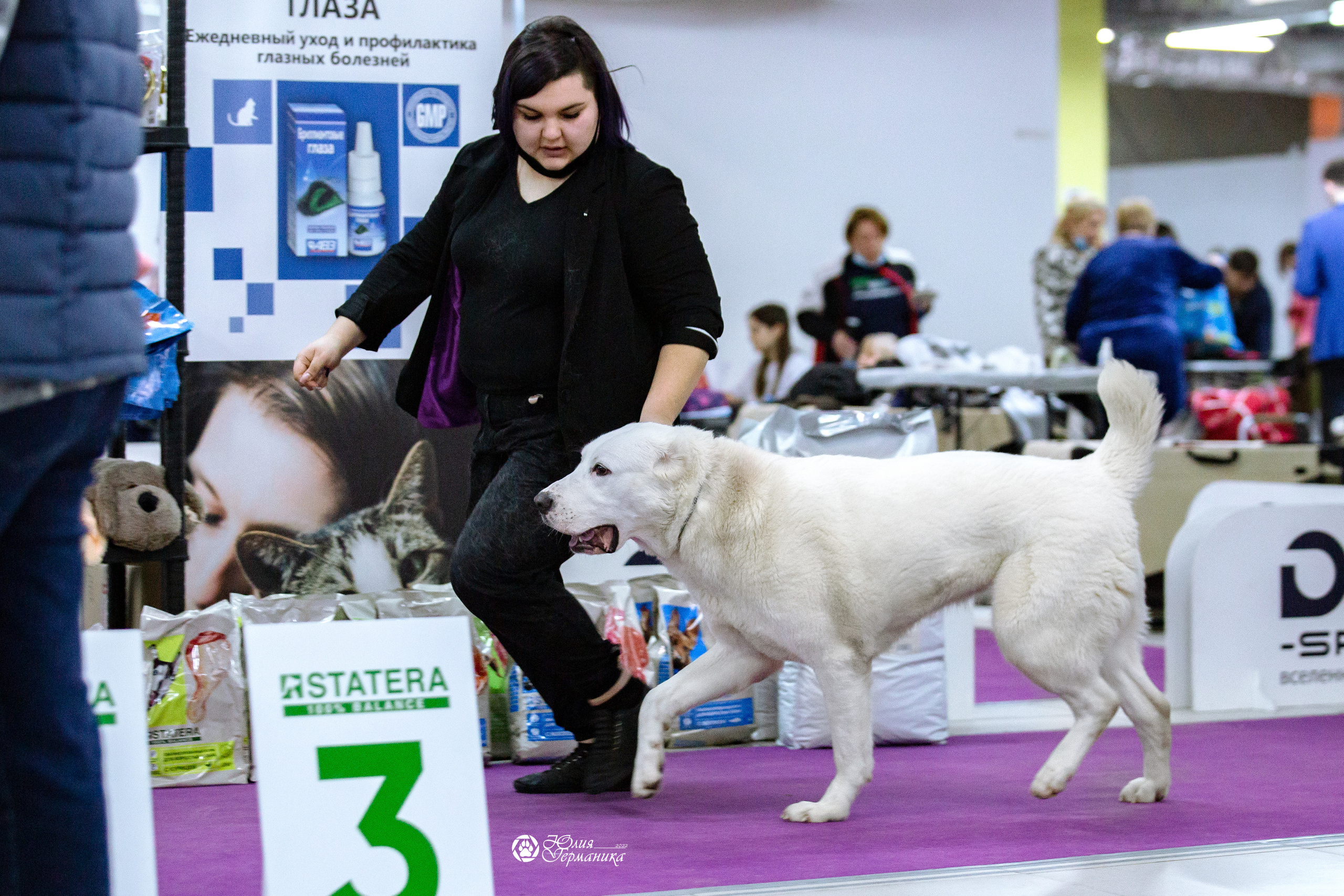 Чайна-Таун 23 февраля 2022. Фотограф-анималист Юлия Германика
