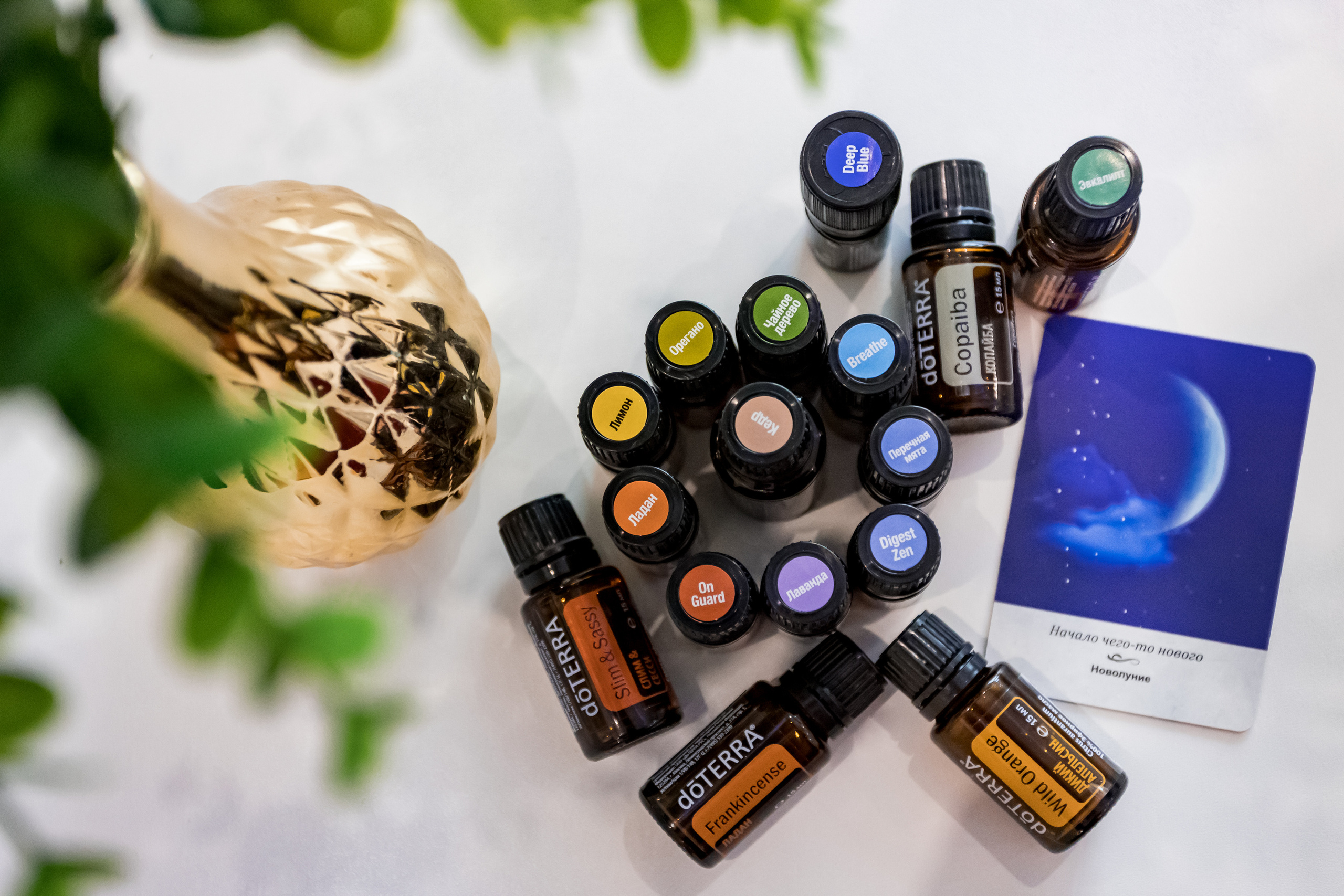 Съемка интерьера для студии красоты Luna Beauty на метро Братиславская. Интерьеры, Контент, Портреты | Фотограф в Москве Дани Терно