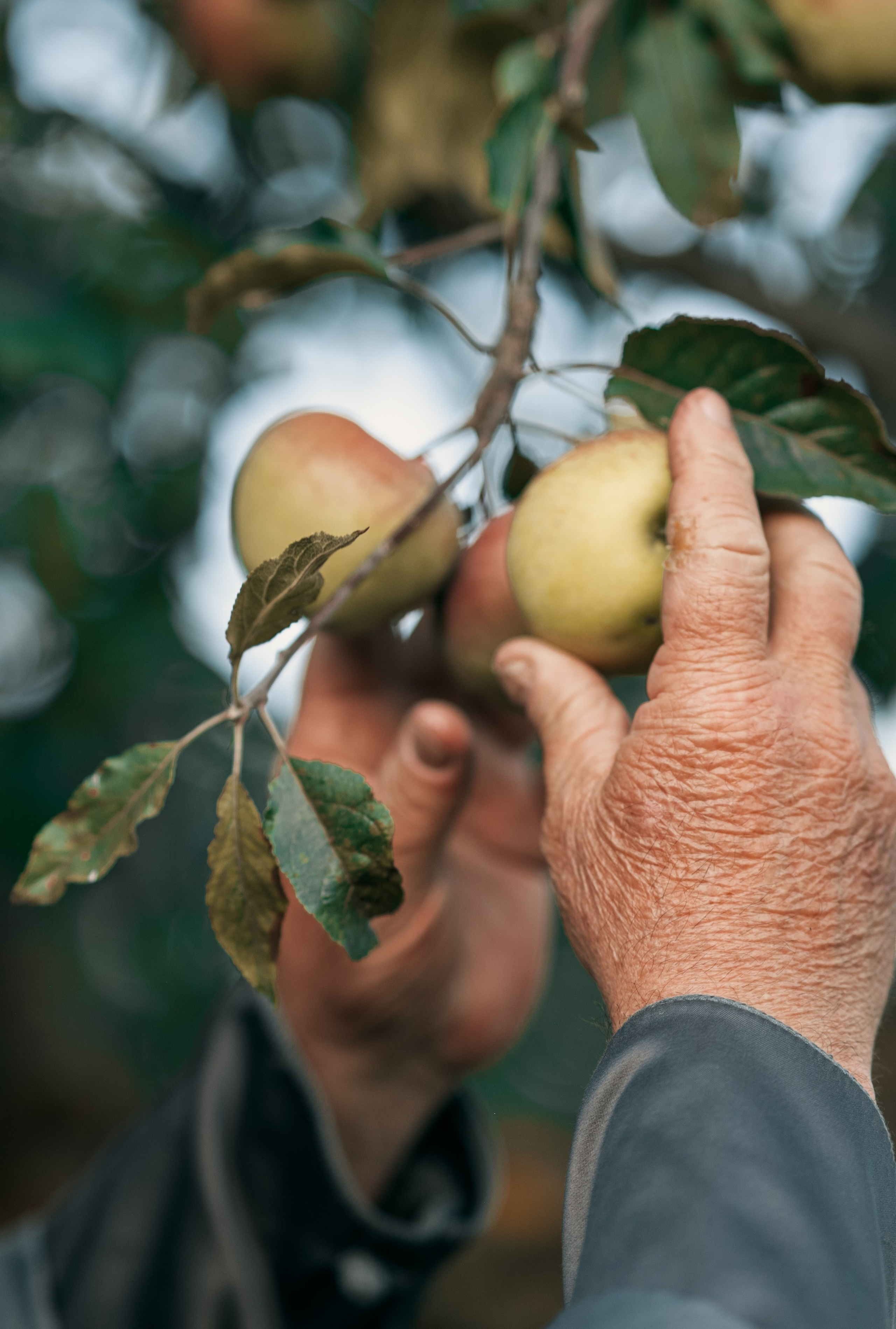 #8. Фото с характером
