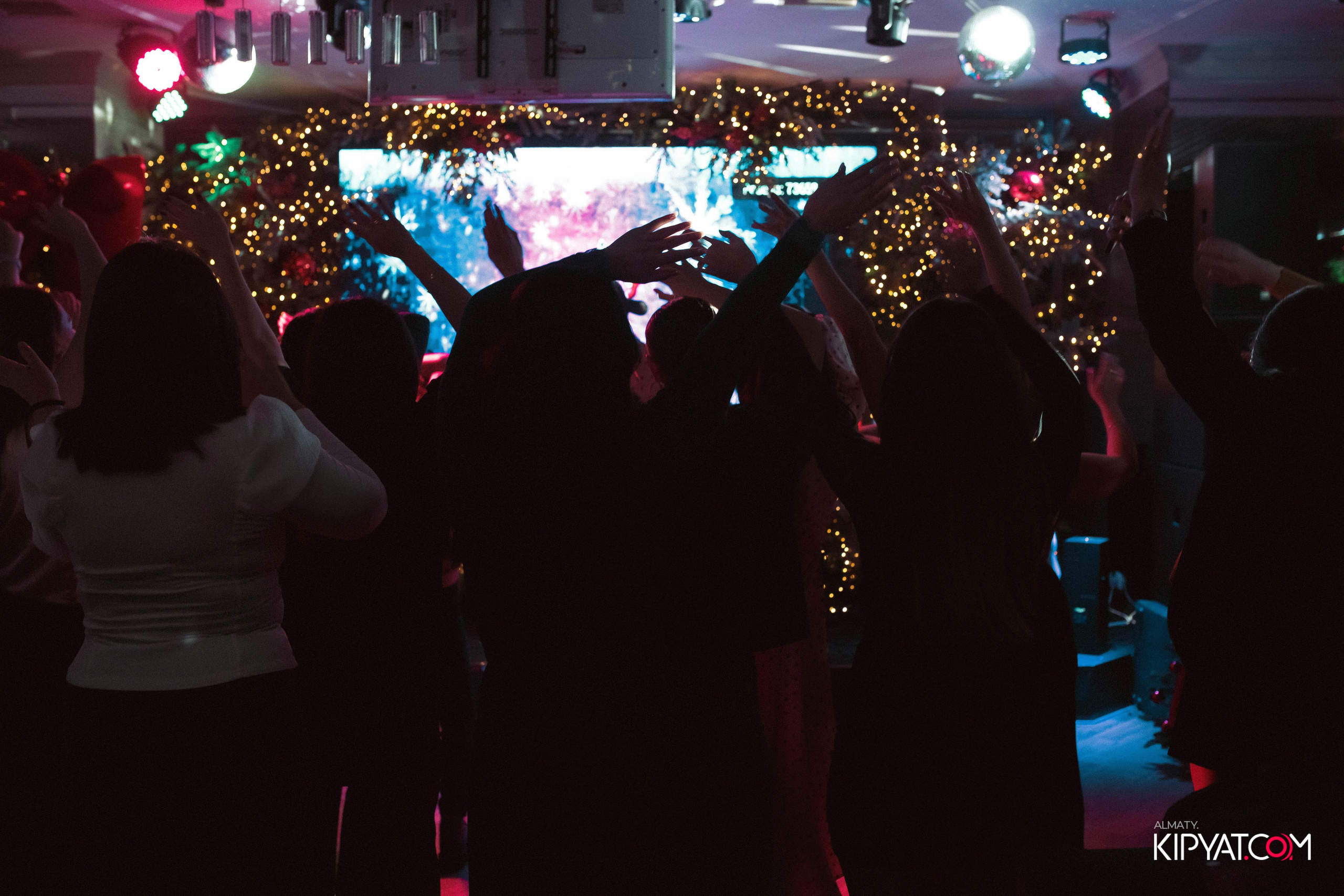 УХО И МЕДВЕДЬ НА КУРМАНГАЗЫ. КИПЯТКОМ АЛМАТЫ! Фотосъемка мероприятий в Алматы