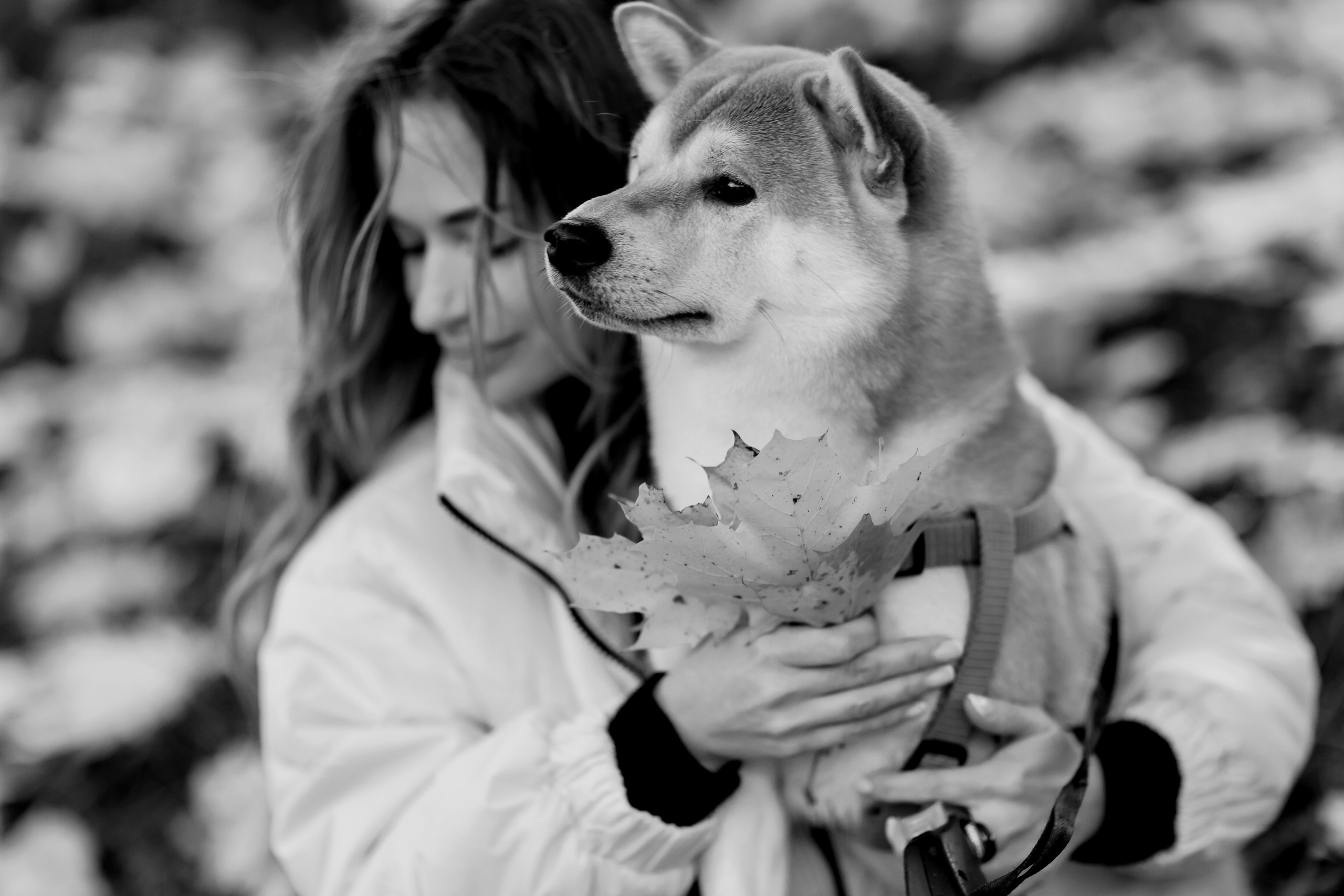 Юлия. Свадебный фотограф
