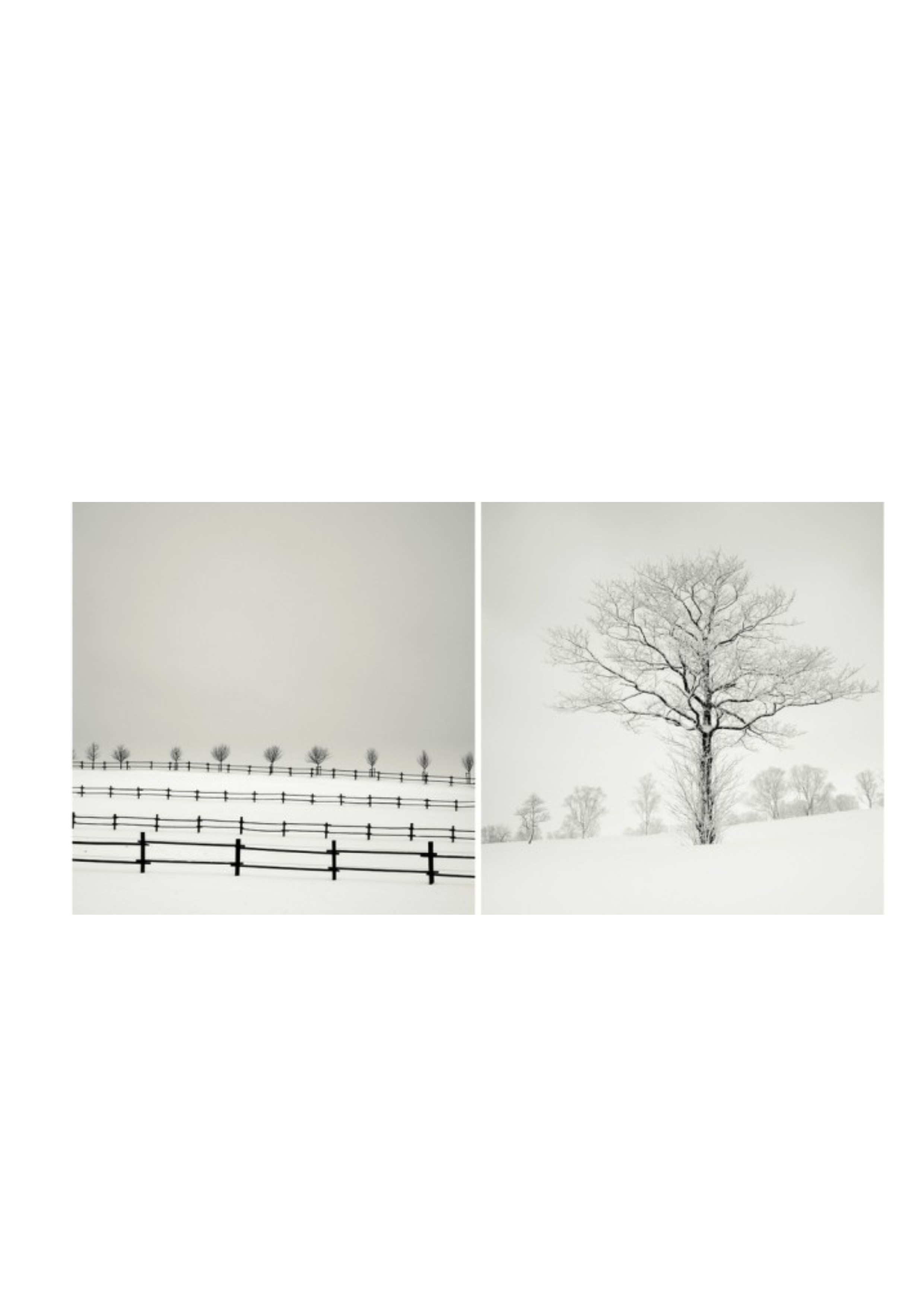 Фотопрогулка. 5 февраля. Фотограф Алматы, курс по Фотографии в Алматы. Дмитриева Наталья