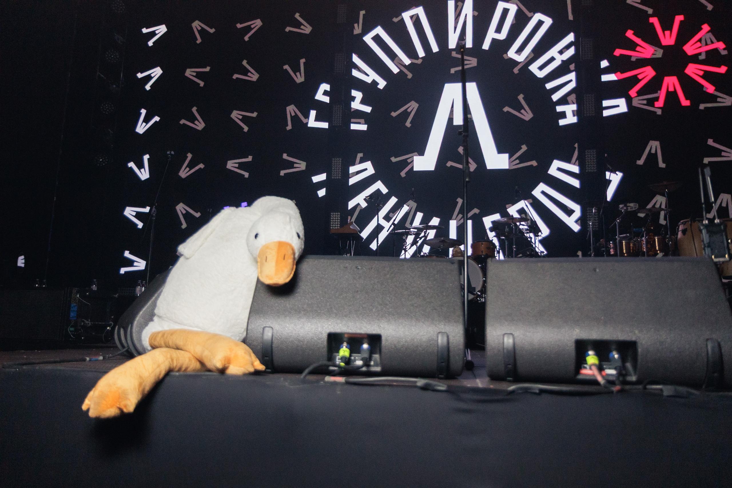 Концерт группы «Ленинград». Ярославль. 2026. Репортажный фотограф. Ярославль. Мелюшин Александр