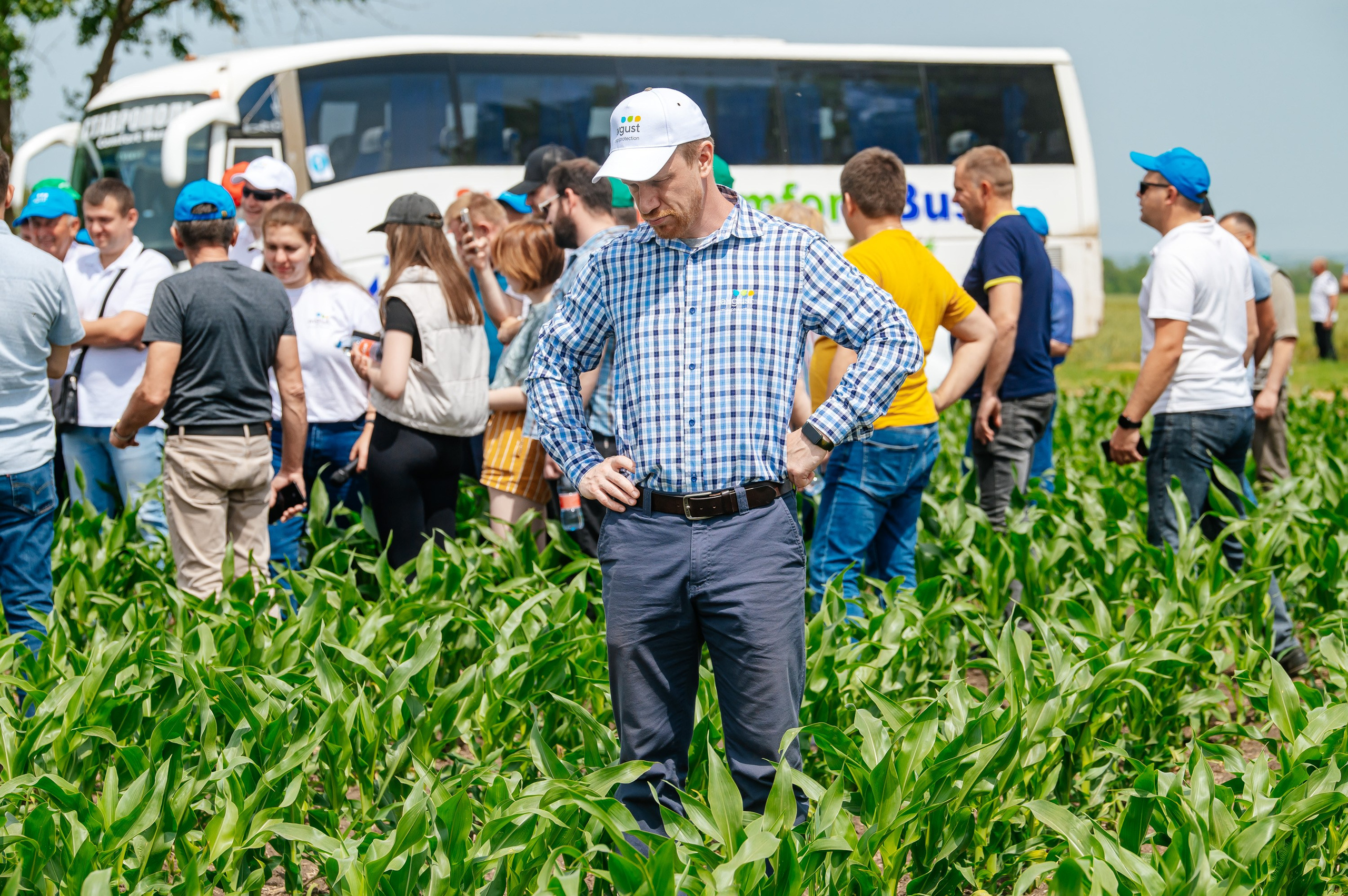 День поля. Главная