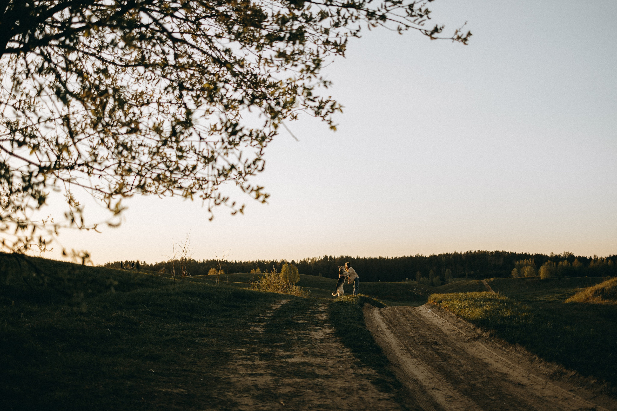 Саша и Зельда. Фотограф — Анималист | Санкт-Петербург