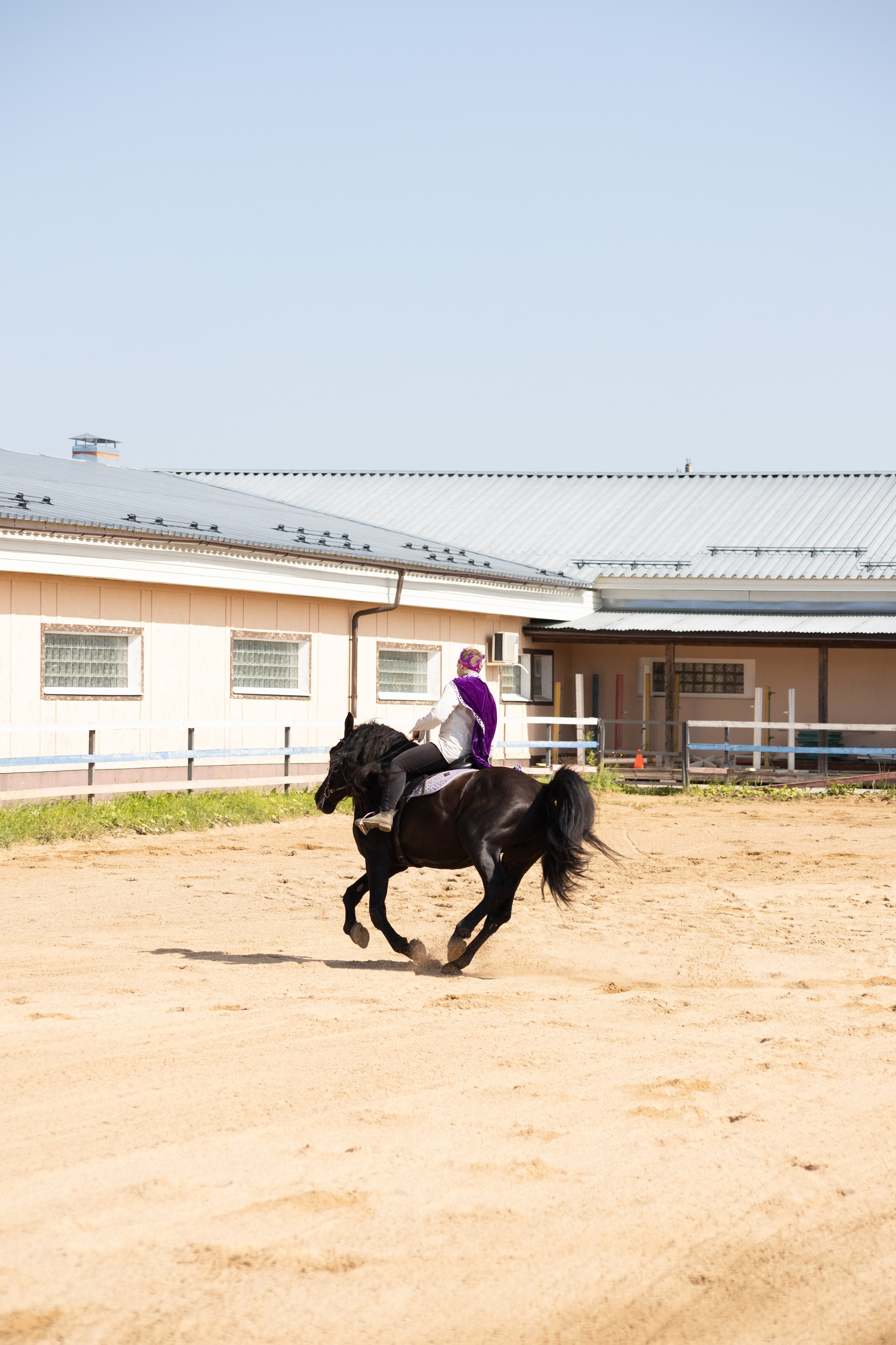 Конюшня. Фотограф в Москве и Истре