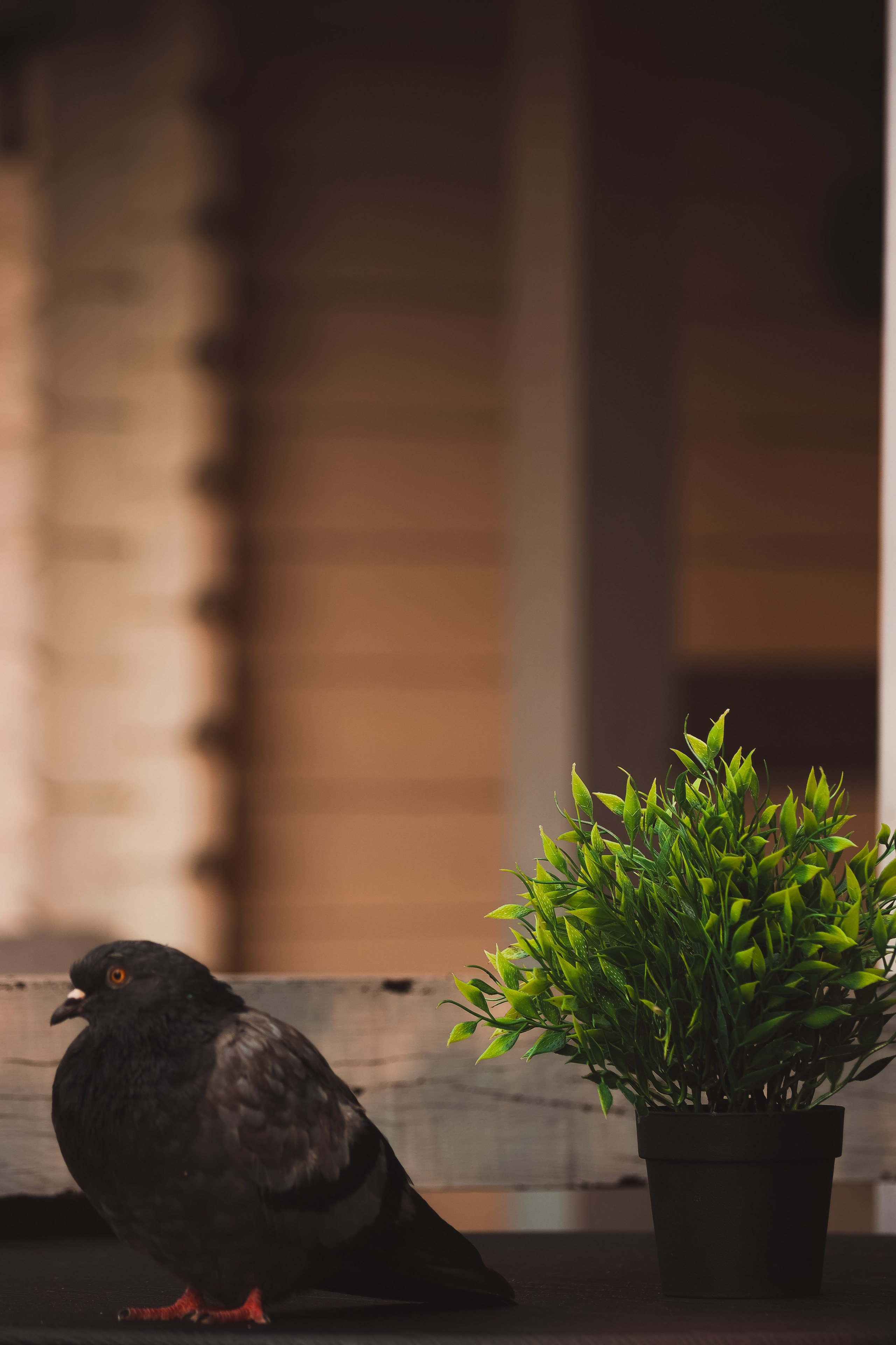 Р А З Н А Я — Ж И В Н О С Т Ь. — Digital Noise —