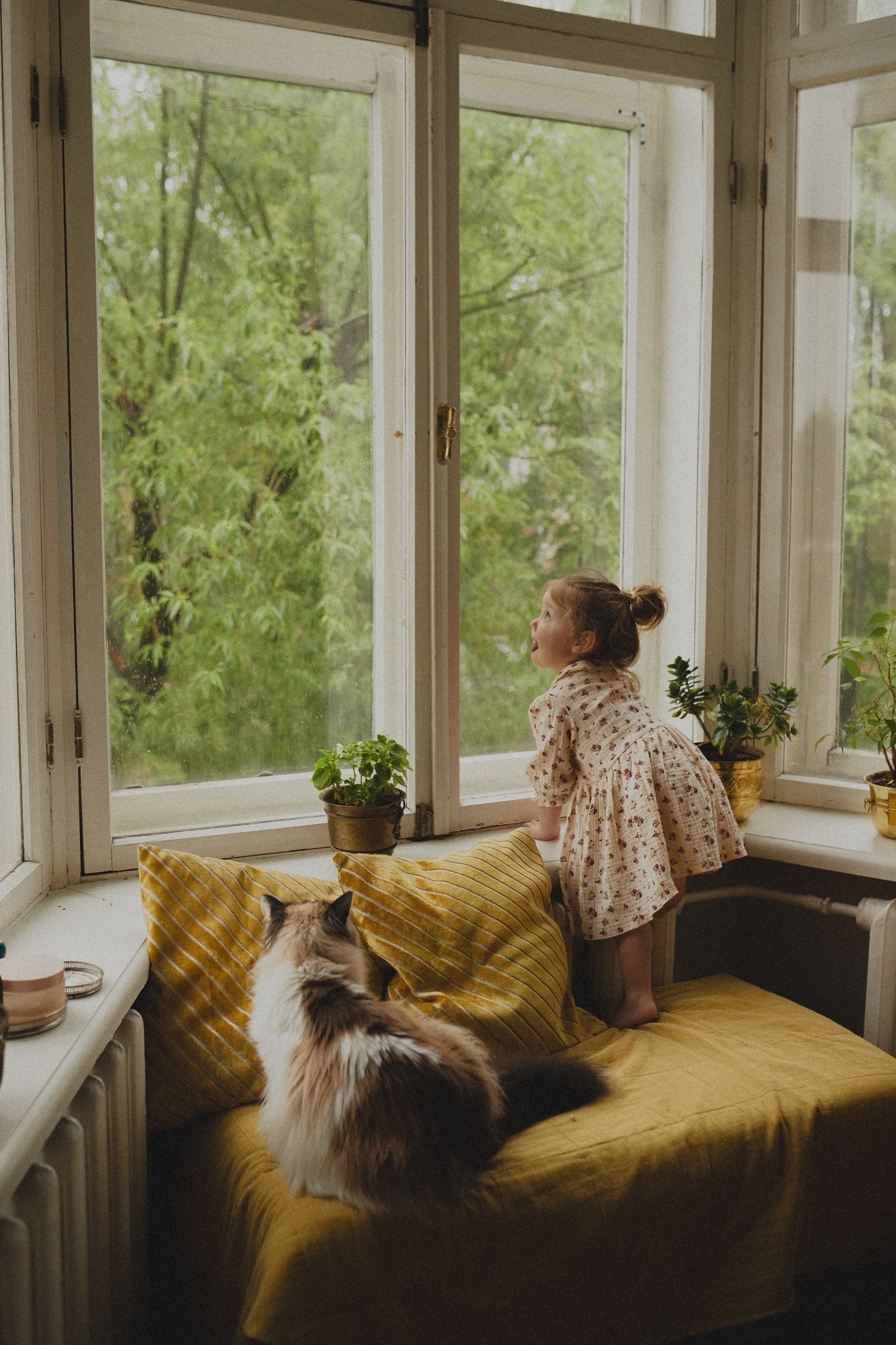 Оля, Кирилл и Мия. Главная