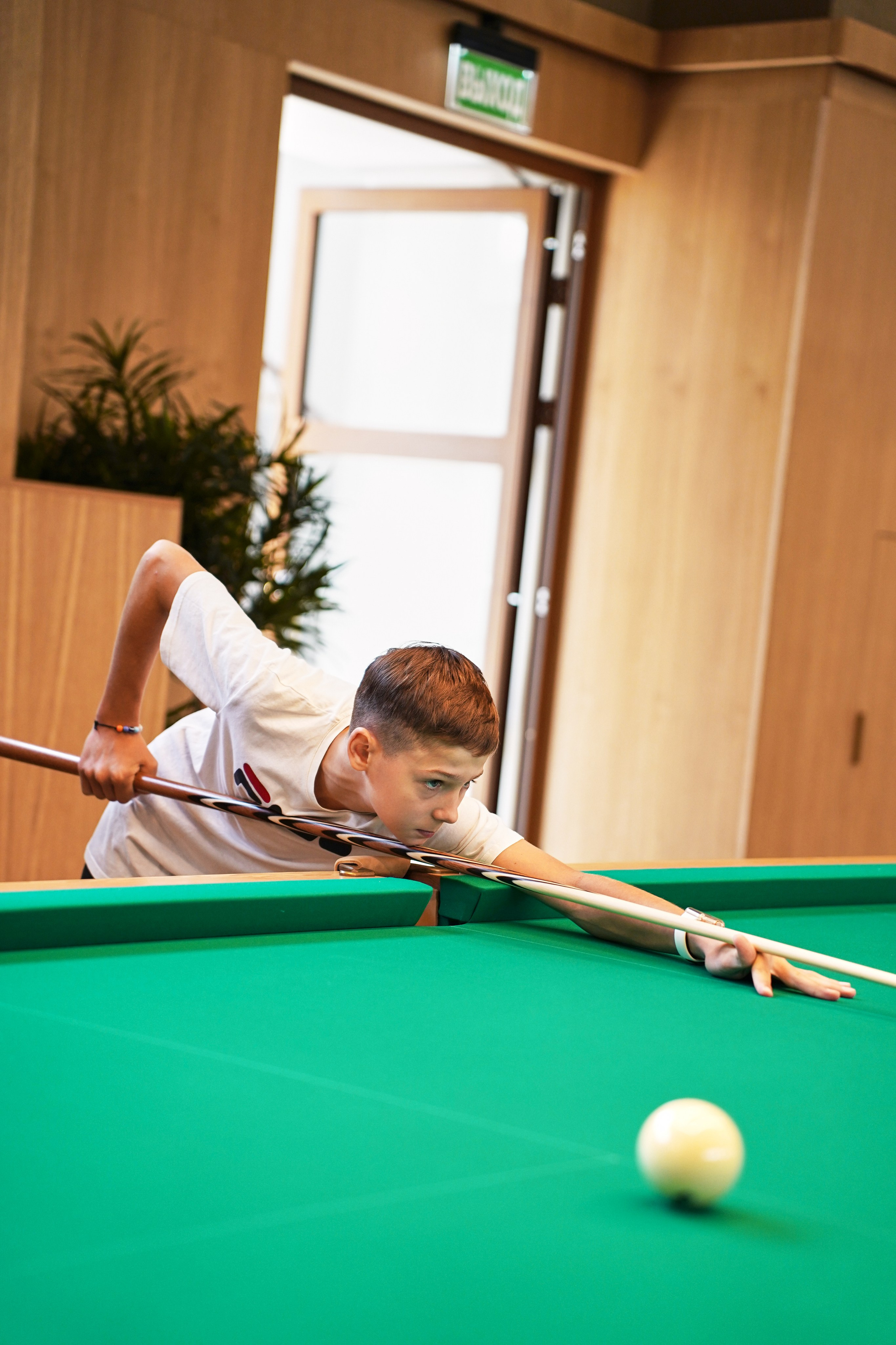 Бильярд Родина. Фотограф
