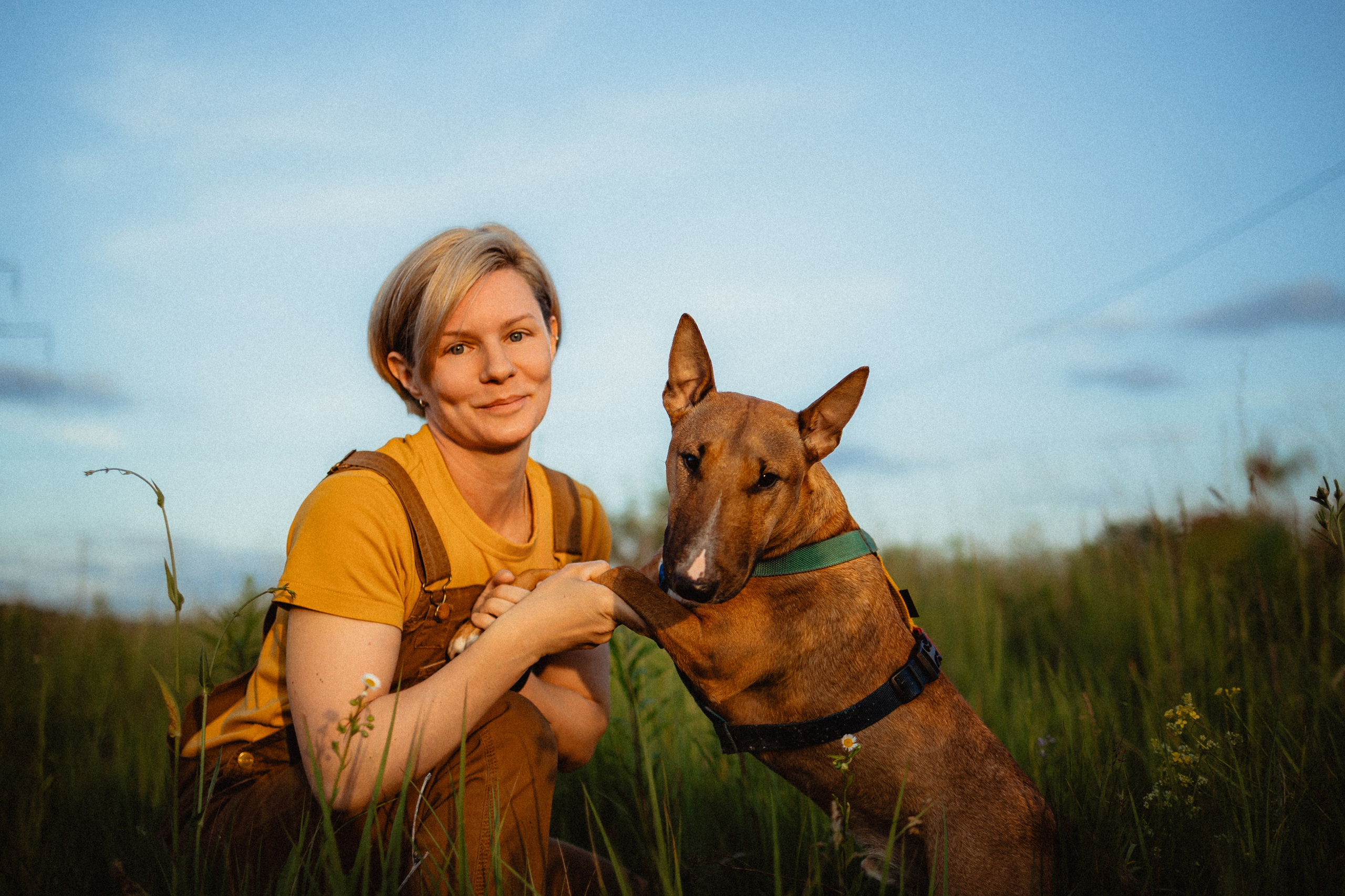 Выездной дог-тренинг от школы «Шерсть имею»