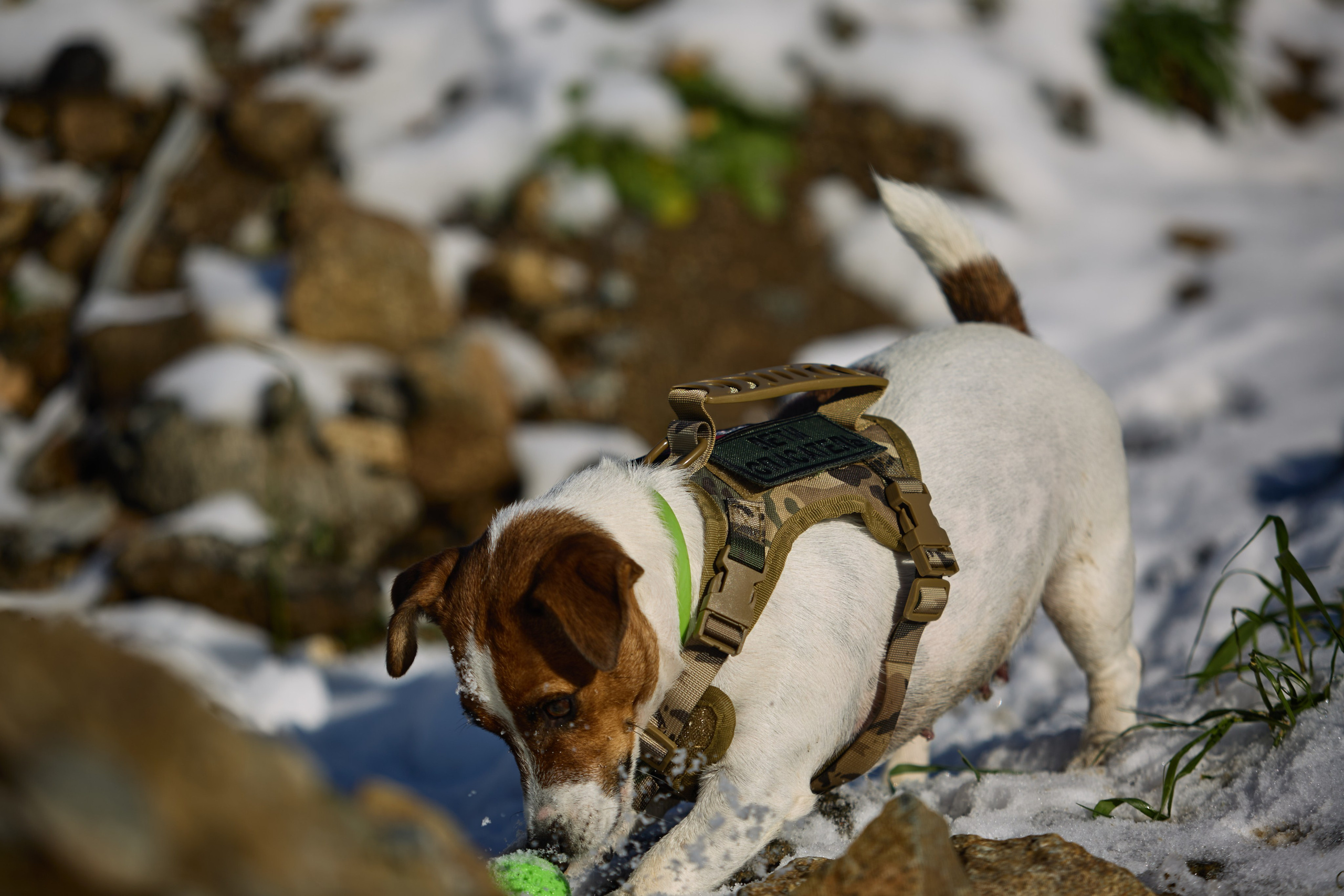 Лети Спасатель. Buyvolenko Andrey