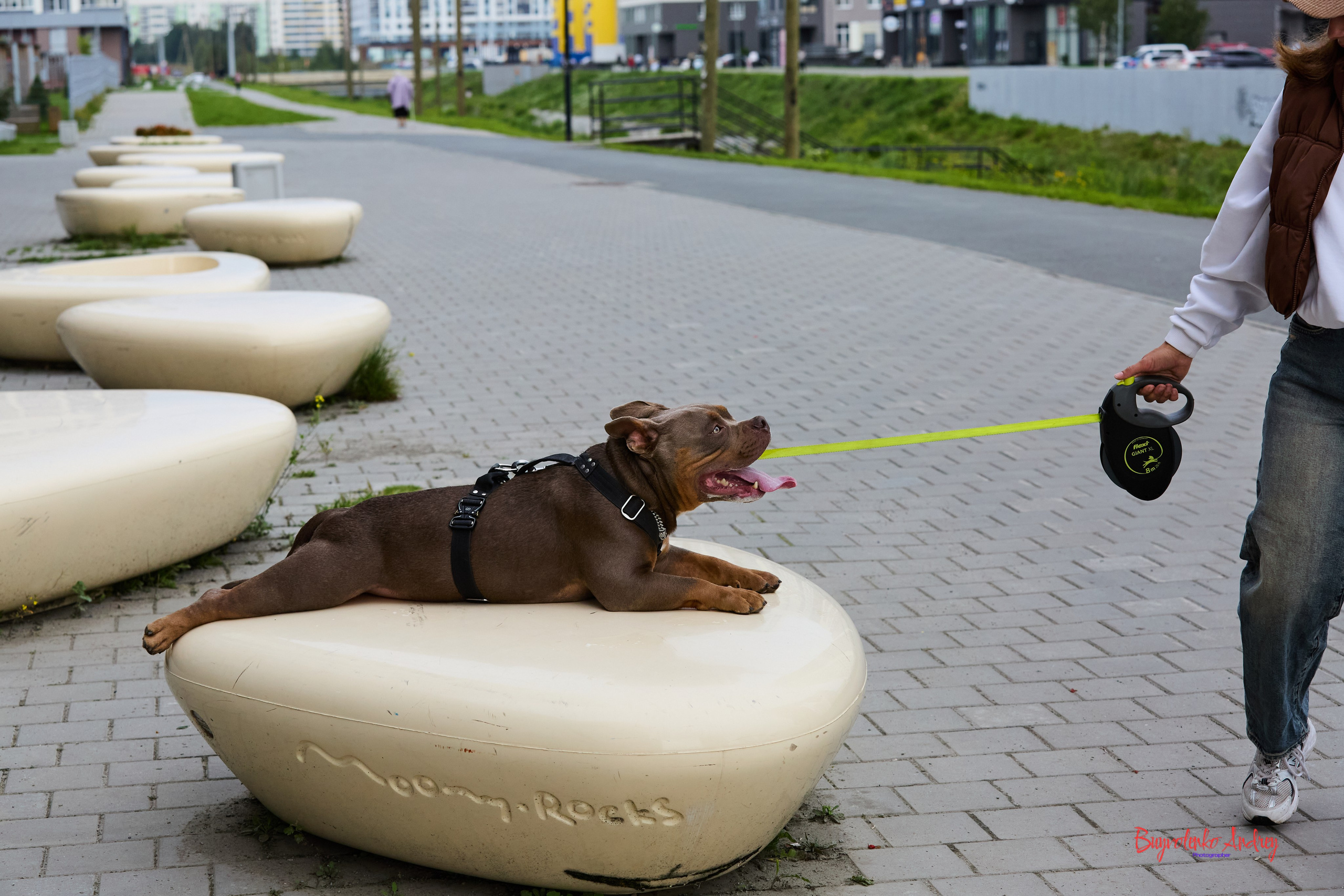 Проект фотопрогулка с хвостиком. Buyvolenko Andrey