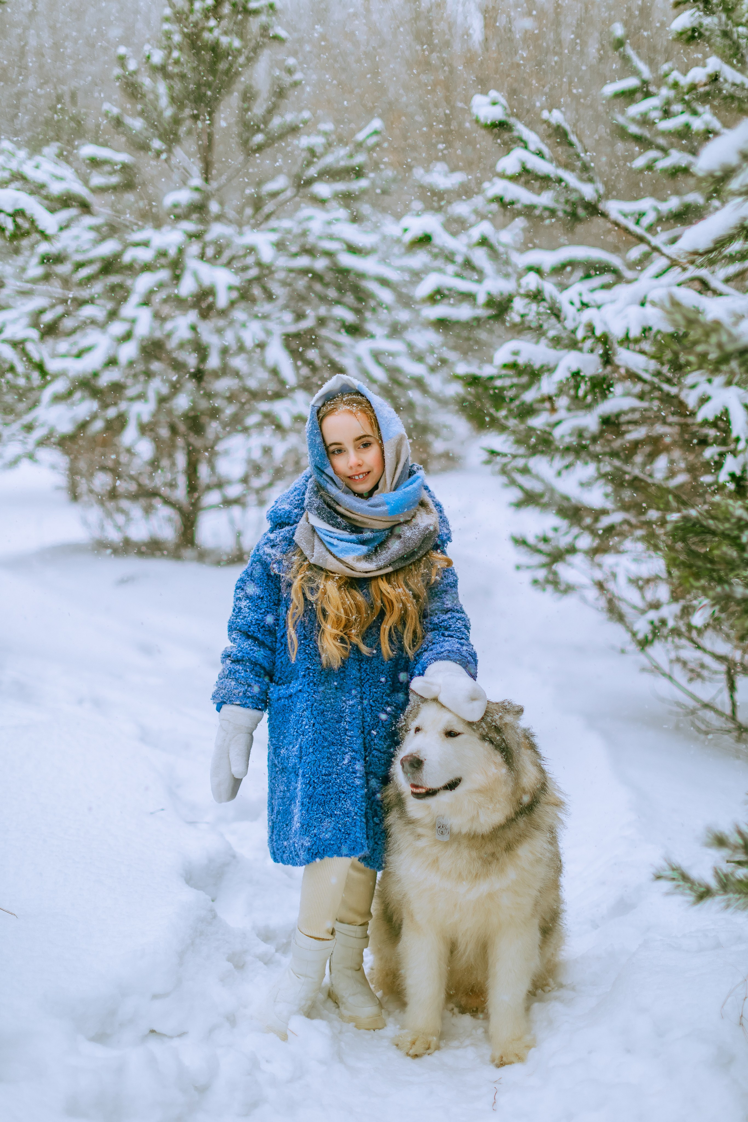 София и аляскинский маламут. Фото и видео Москва, Московский. Свадебный фотограф, видеограф, фотосессии, видеосъемка