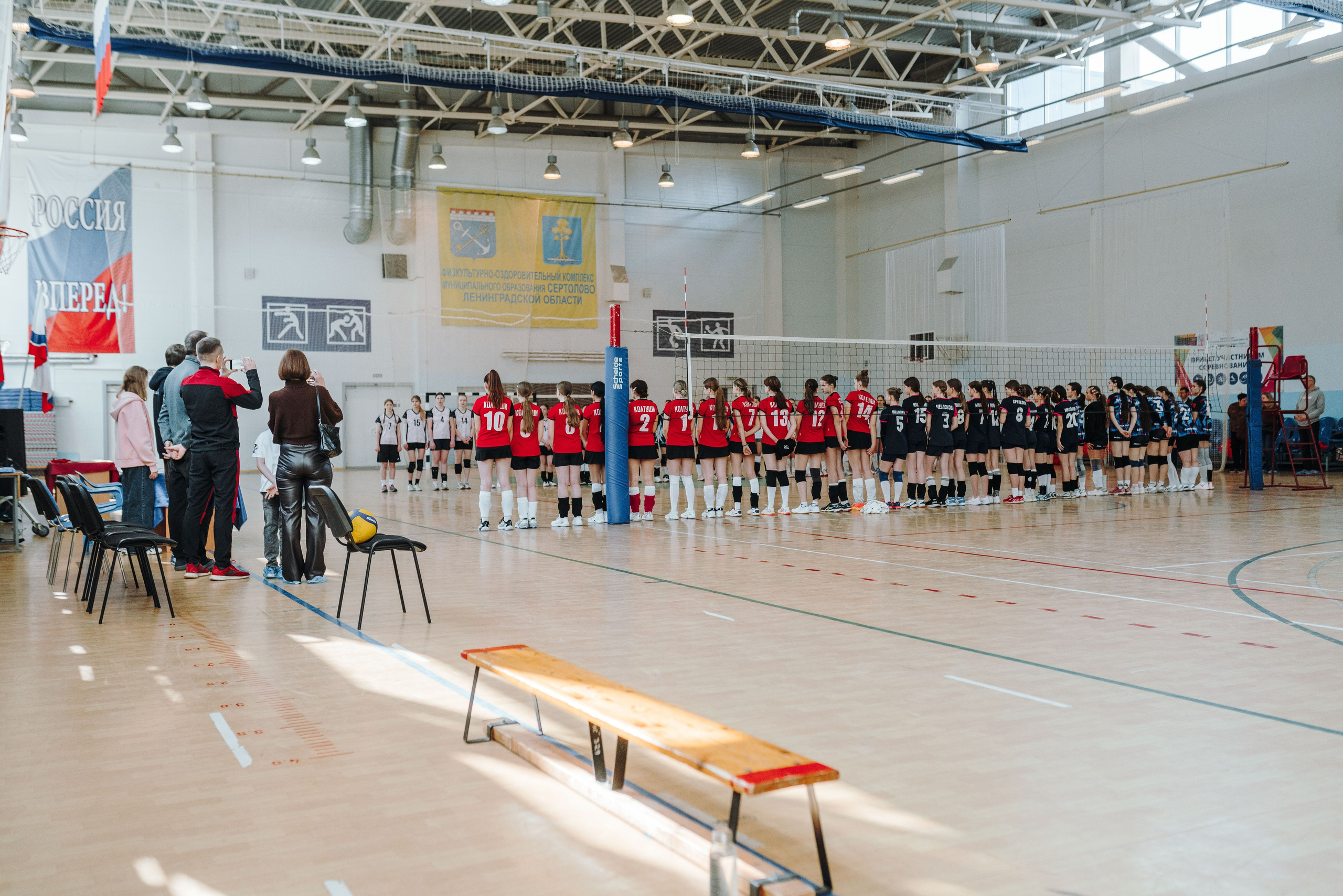 Волейбол торус. Фотограф-анималист в Санкт-Петербурге