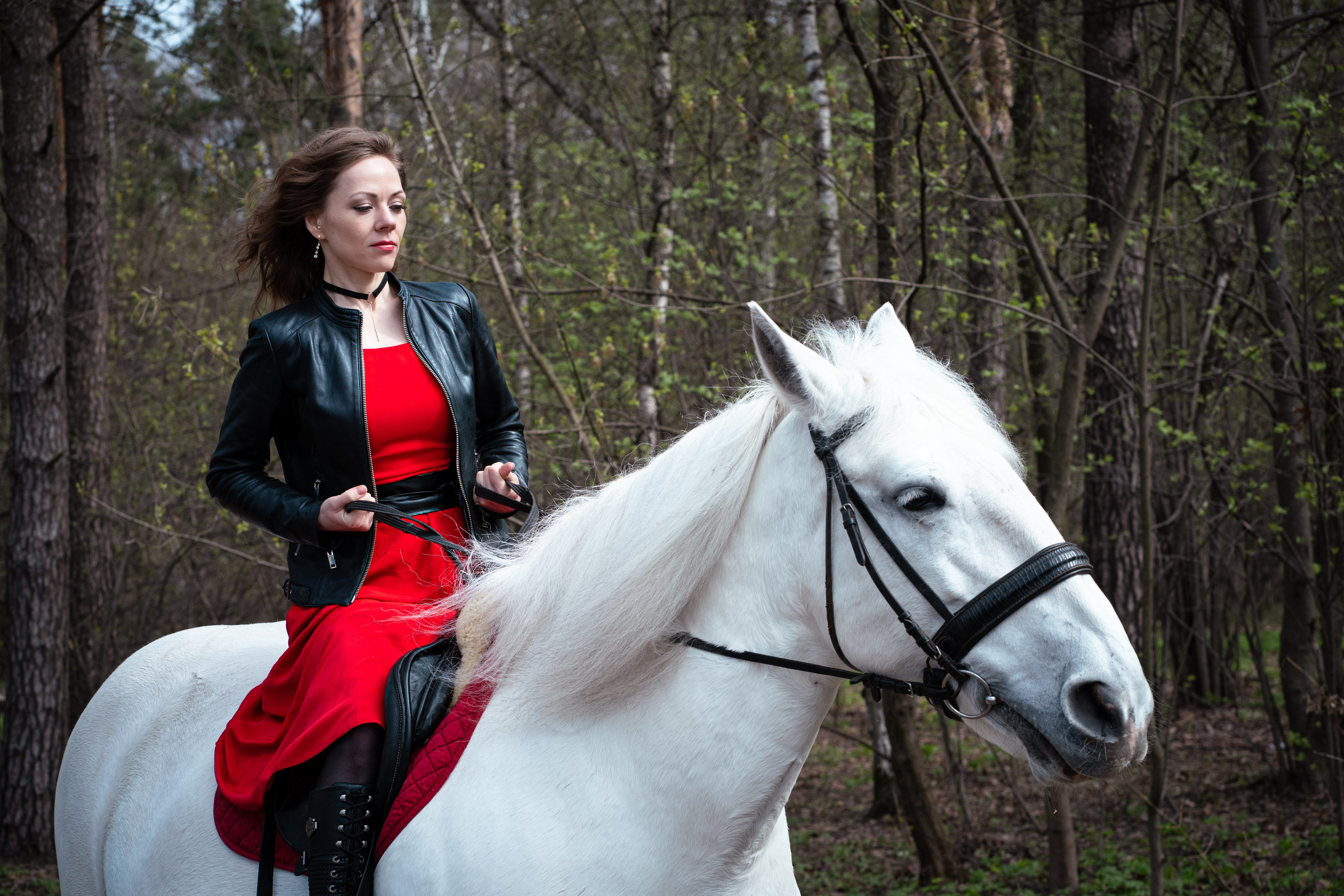 Прогулка весна. Фото / Видеосъемка в Москве