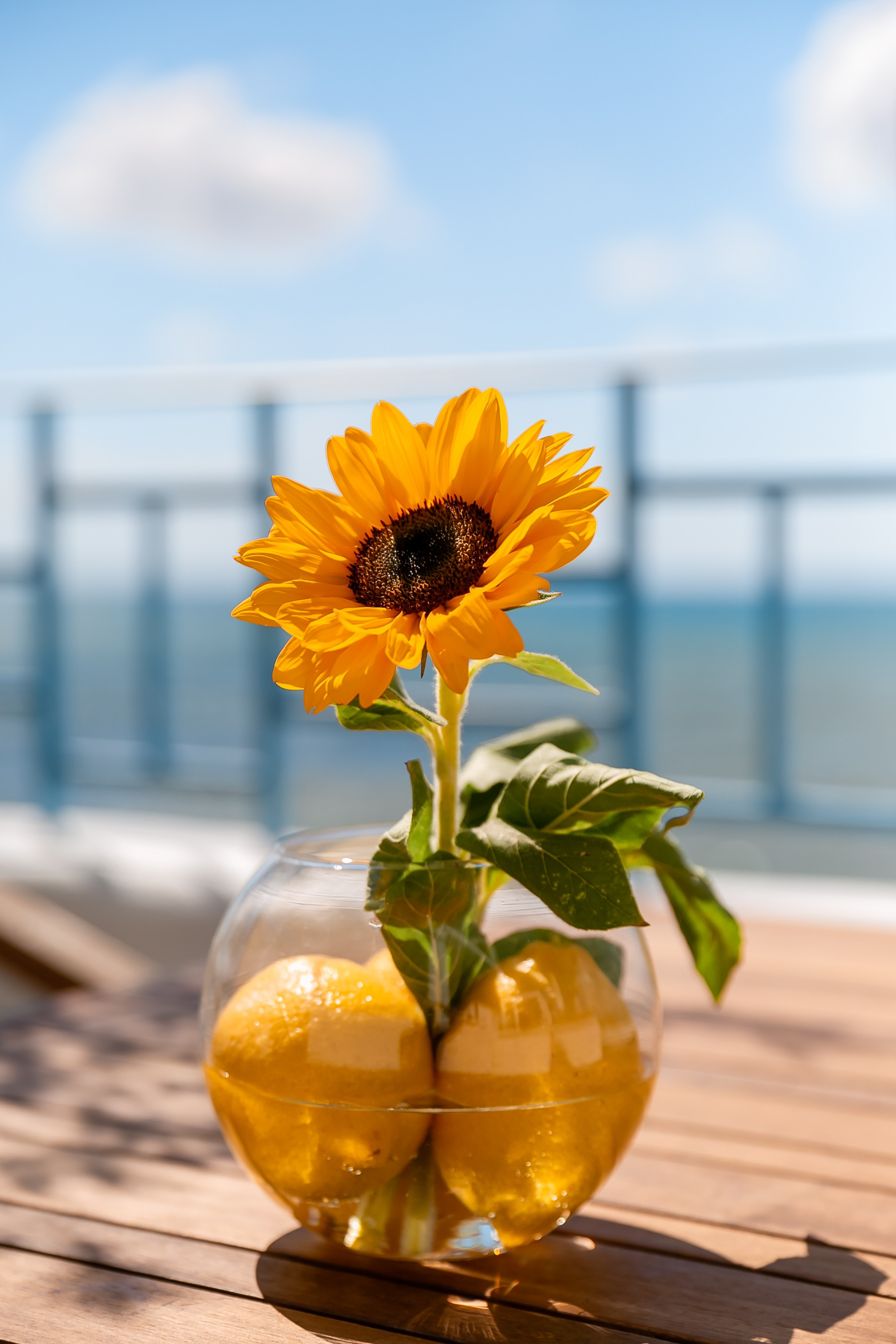 «Похмельный рейв» в ресторане DELMAR. Репортажный фотограф в Ялте Алексей Семёнов