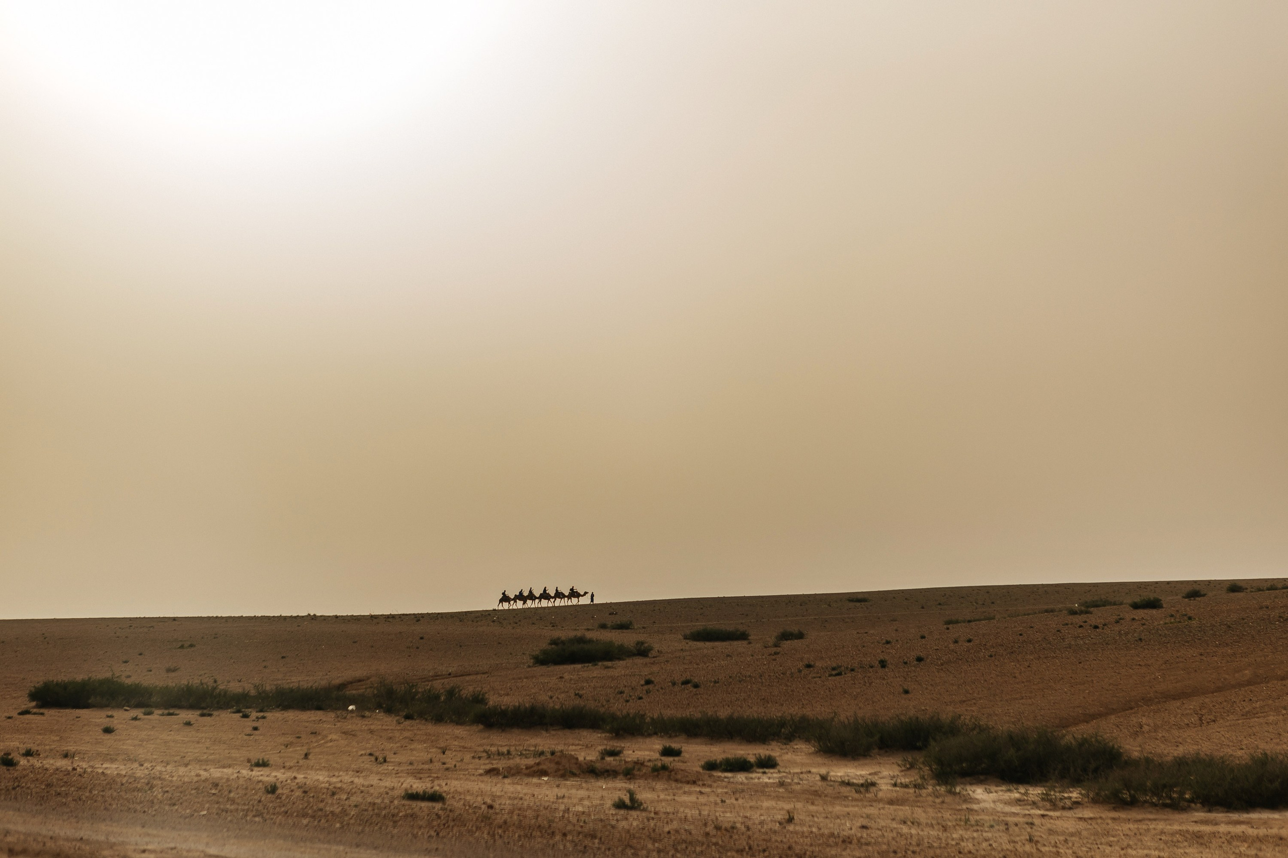 Марокко Альфа Банк. Фотограф в Москве Дмитрий Жарков
