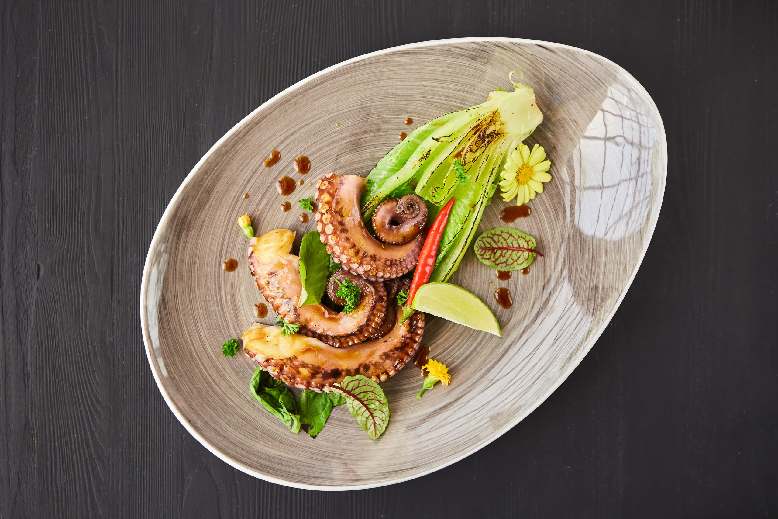 Меню ресторана Шампань. Фотохудожник Наталия Кирсанова