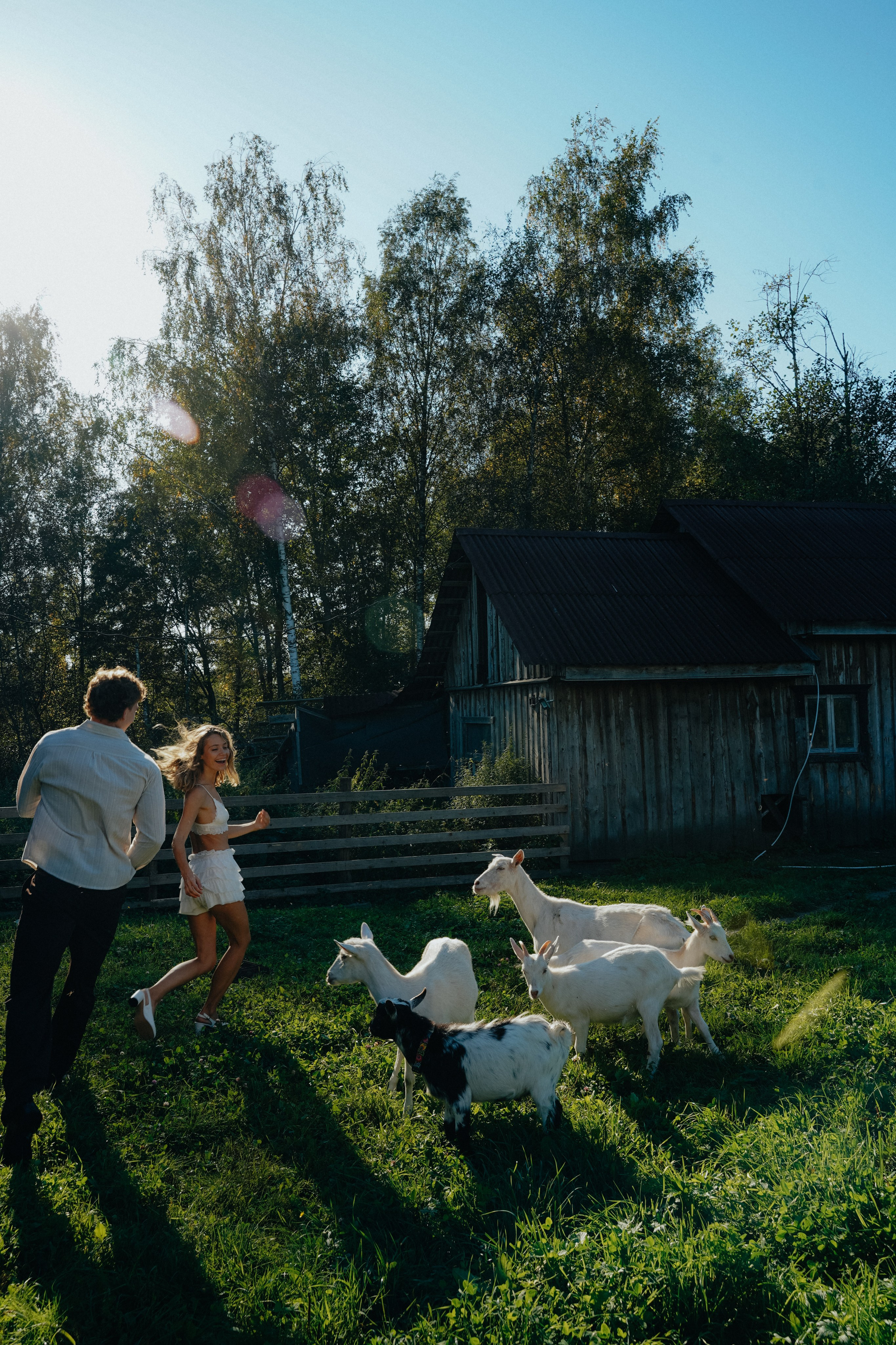Свадьба на ферме