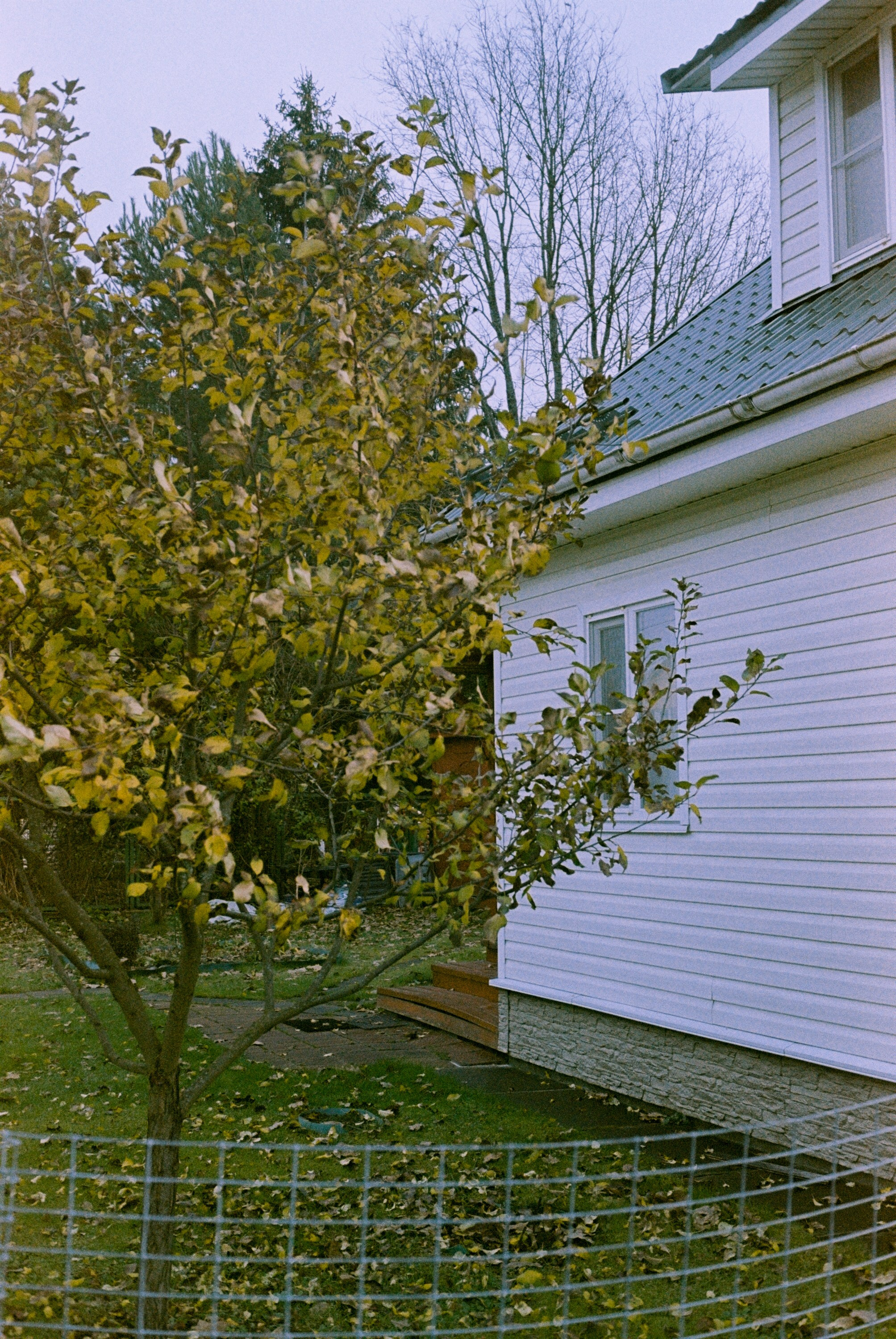 Minolta Hi-Matic 7sII / Kodak Color Plus 200 (просрочка)