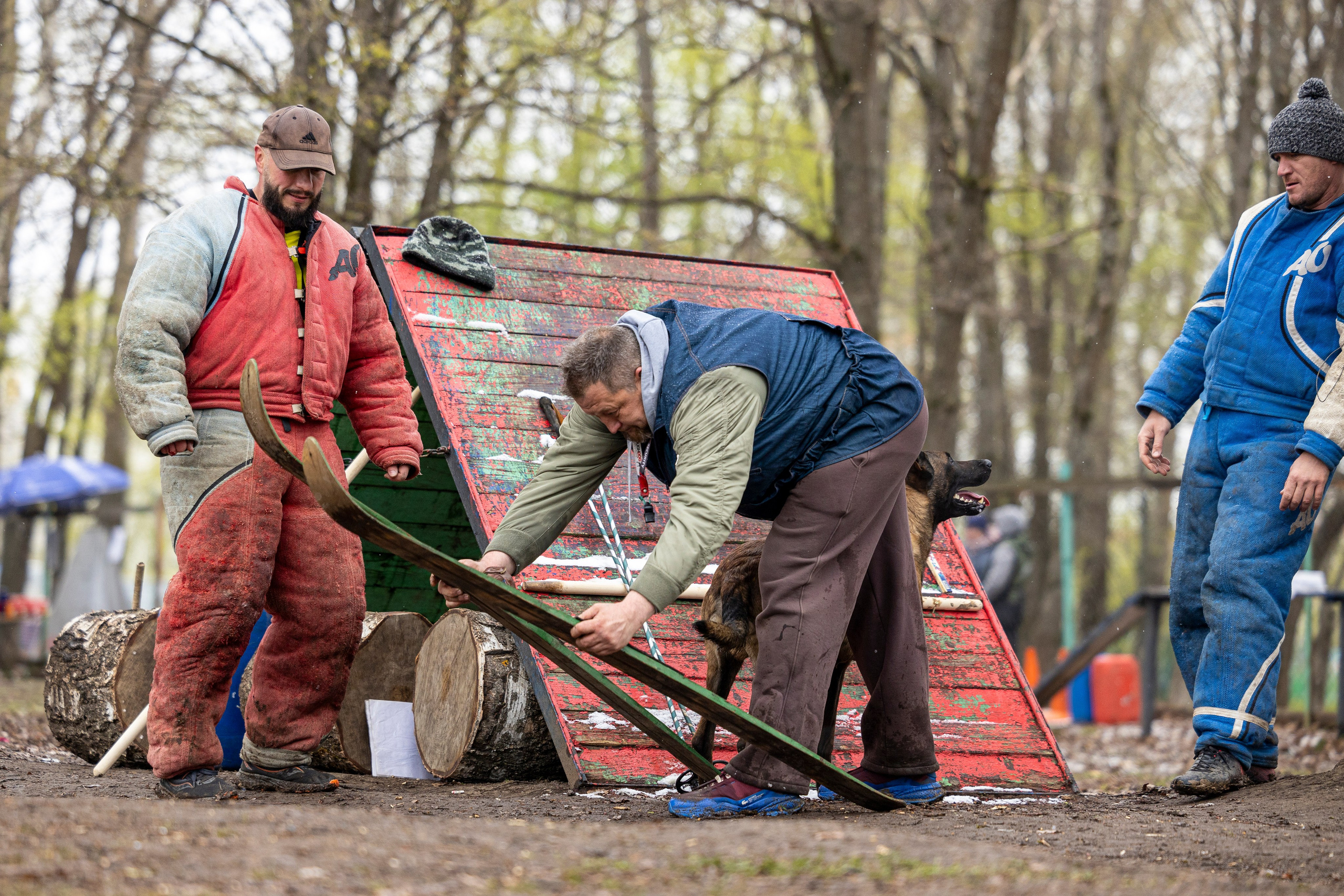 Квалификационные состязания по мондьорингу г. Вологда 11.05.24. Фотограф-анималист Анна Маринич