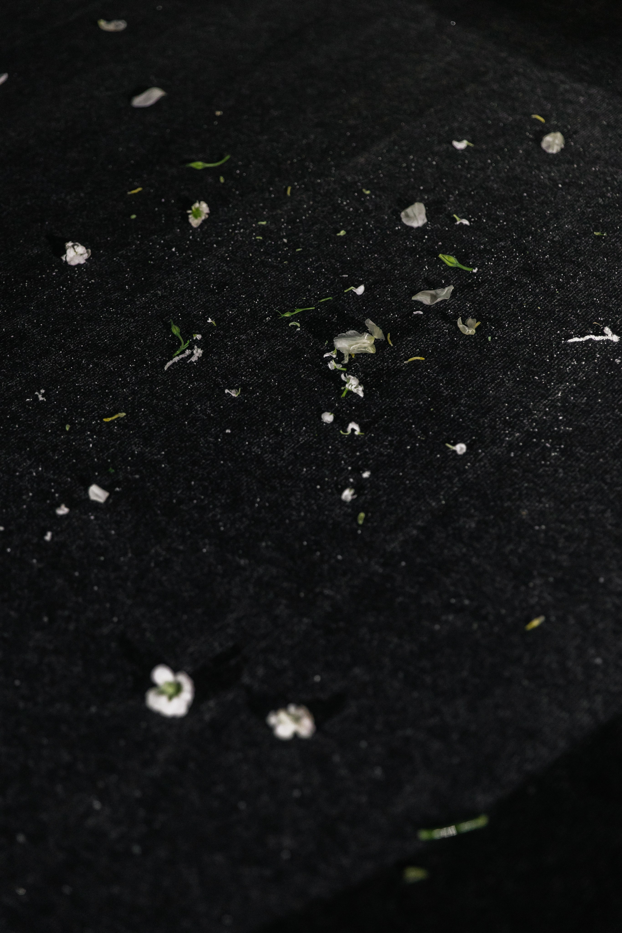 KRISTINA & DMITRIY. Свадебный фотограф | Екатеринбург | Сочи | Артем Шестаков