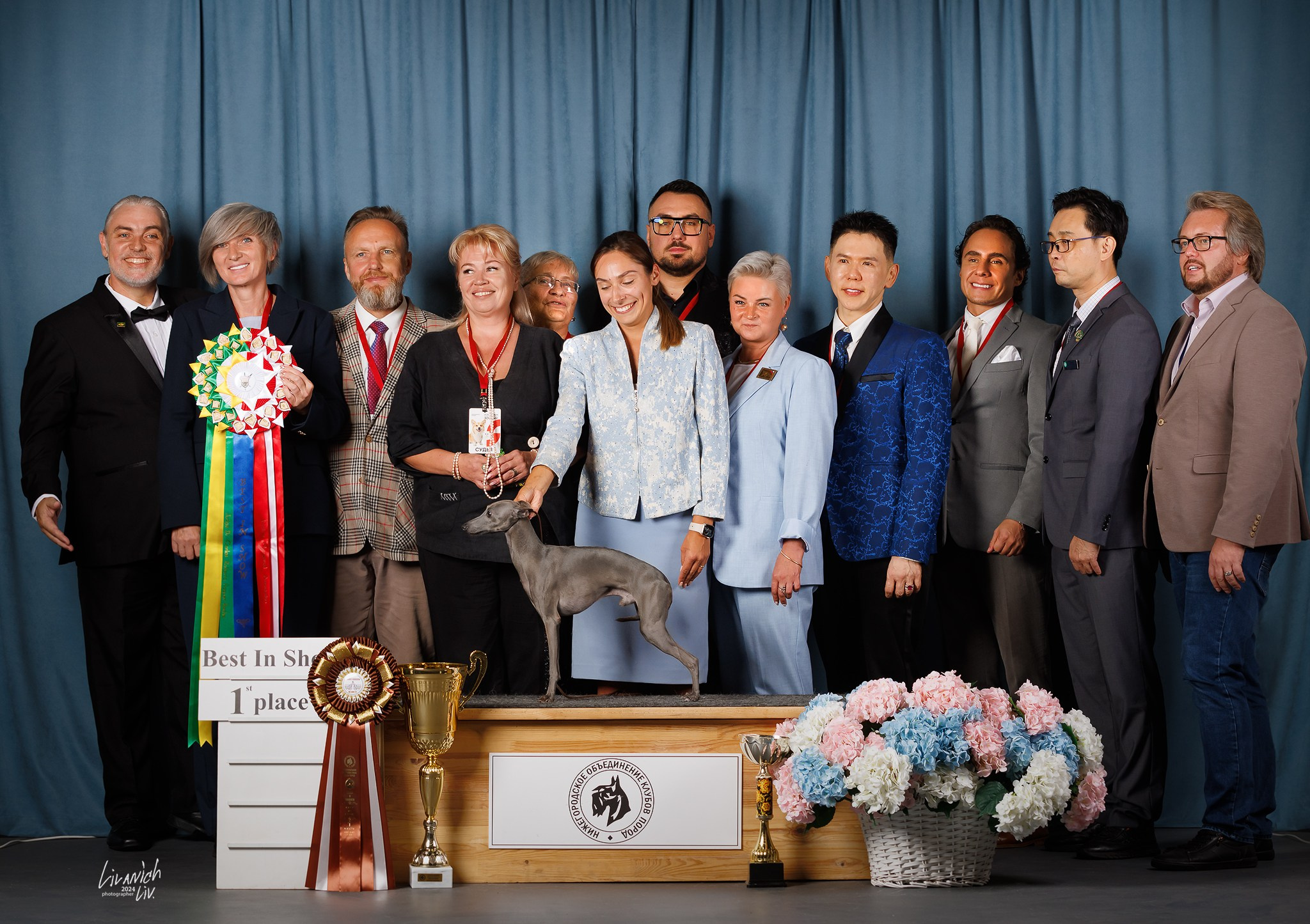 Выставки. Фотограф для вашей собаки