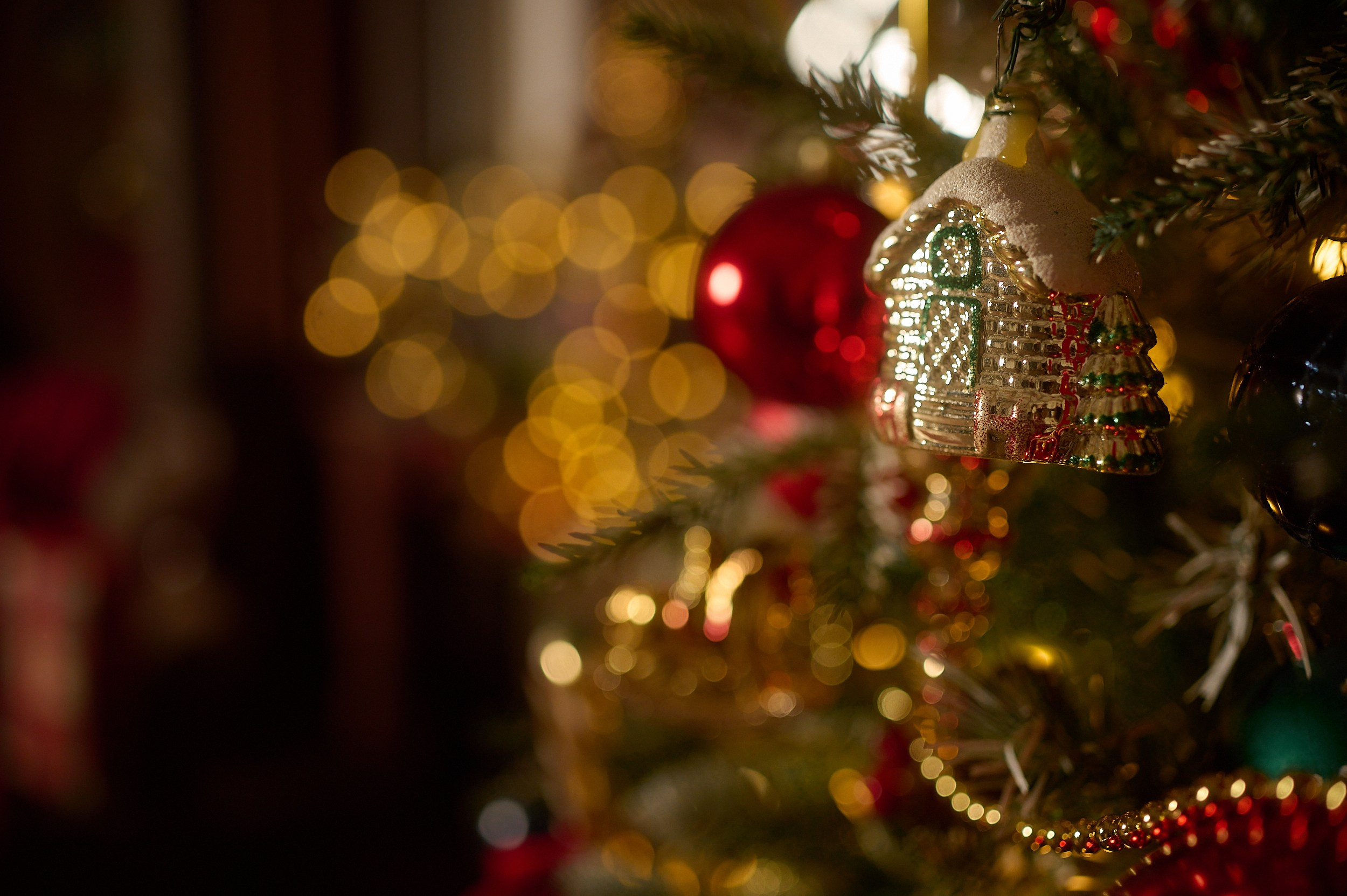 Фотостудия «Леона» зал Библиотека. Свадебный фотограф в Ростове Александра Груздева