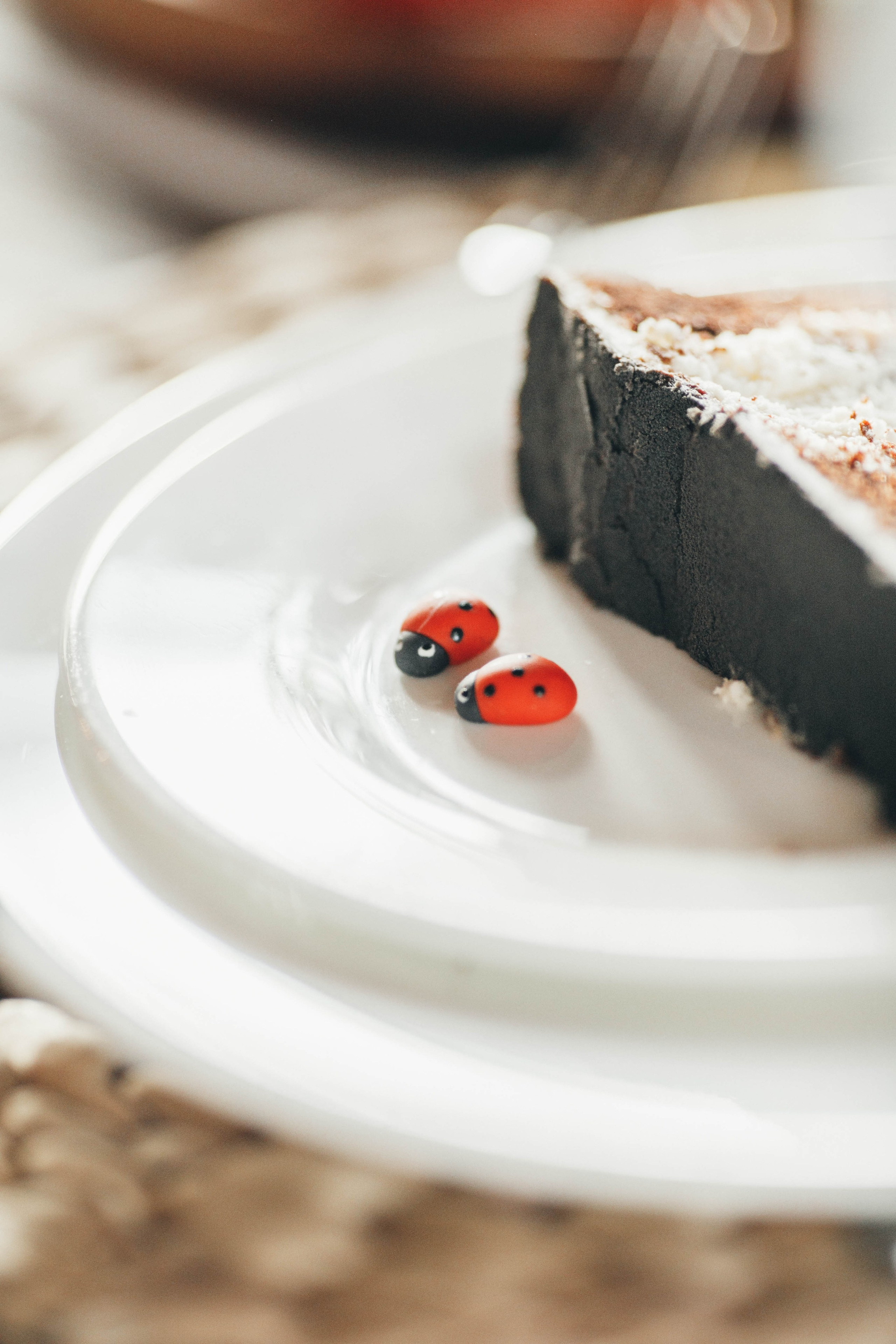 Детский день рождения в Подмосковье. Фотограф Лебедева Наталья