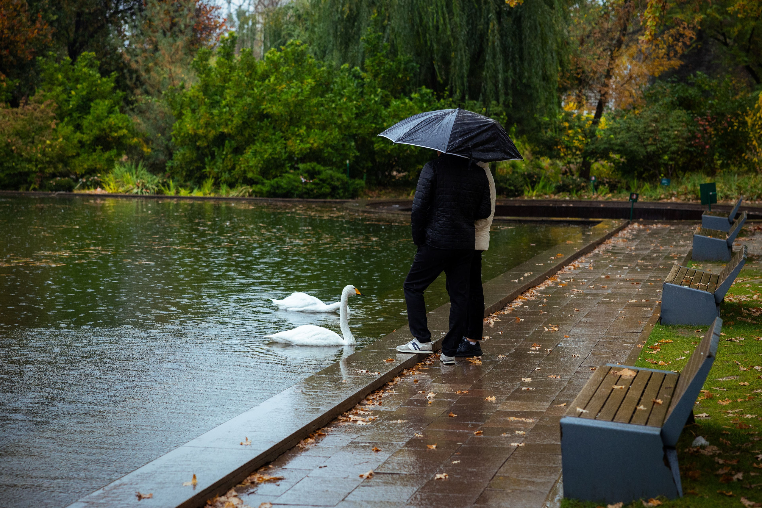 Казахстан (осень 2024). Фотограф Виноградов Константин