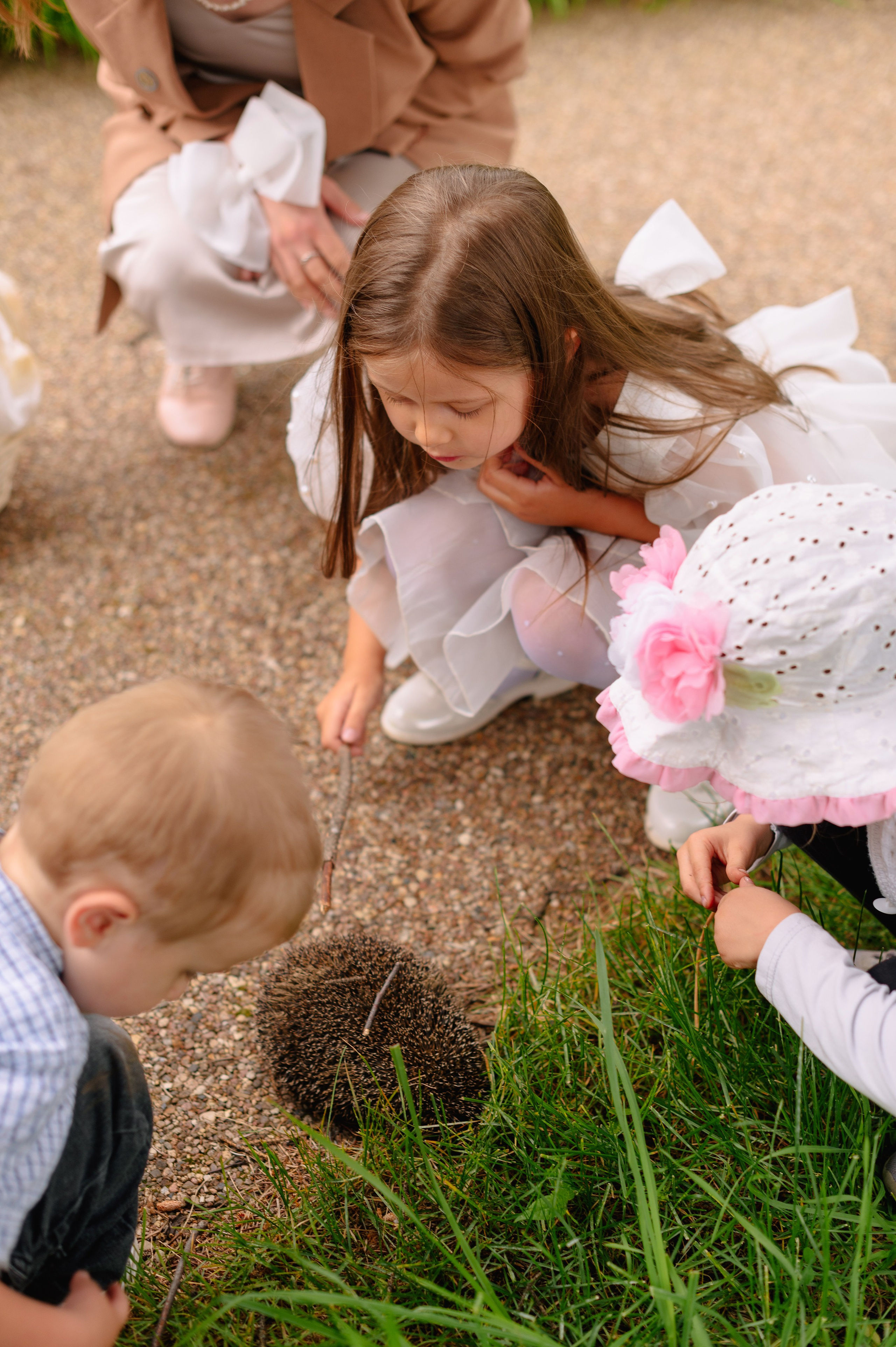 ТИНА и МИША. Шашкова Вероника / Свадебный и семейный фотограф Москва и Ярославль