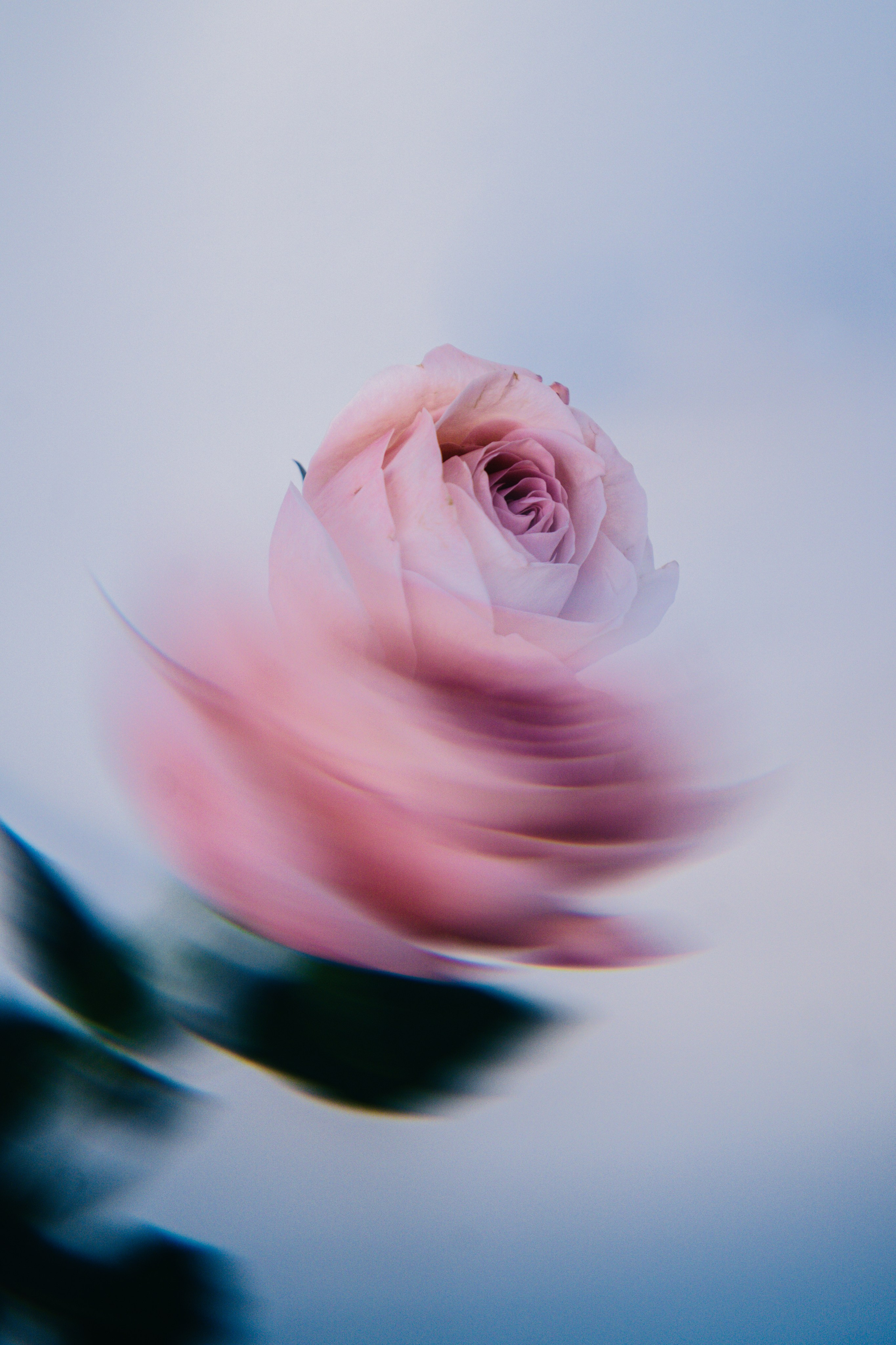 Товары. Фотограф Алиса Аспер