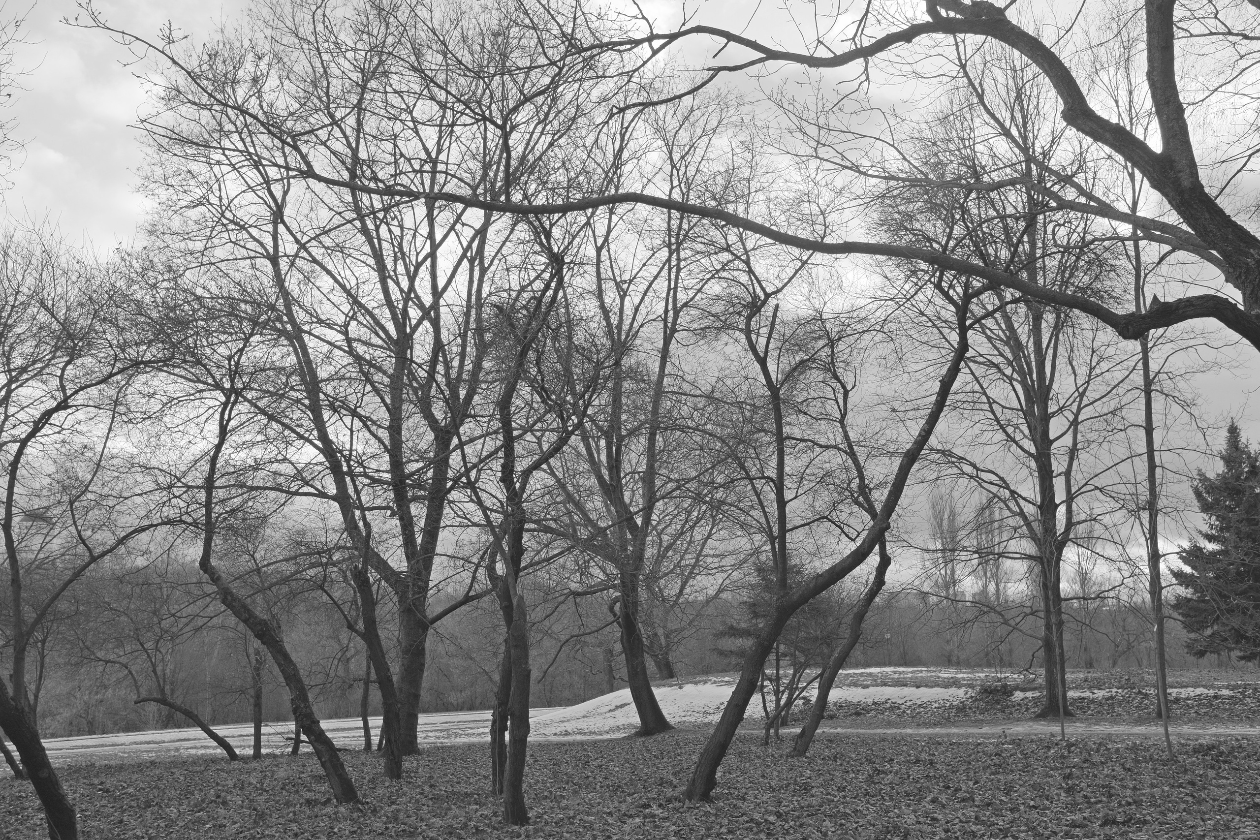 Фотоальбом с разными съёмками