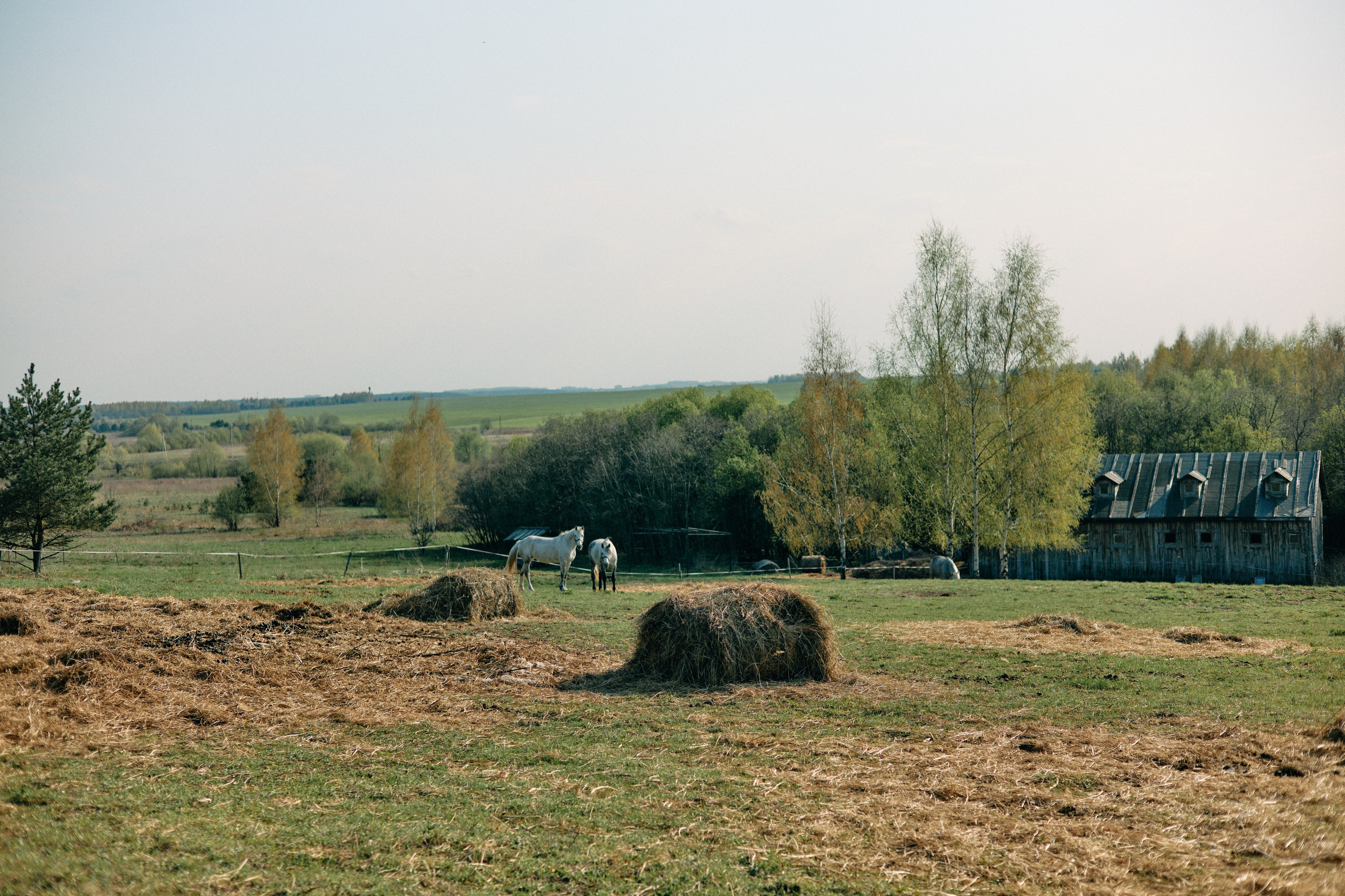 Бутик-отель Поле летом. Профессиональный Фотограф во Владимире, в Москве и в Суздале — Полина Романычева