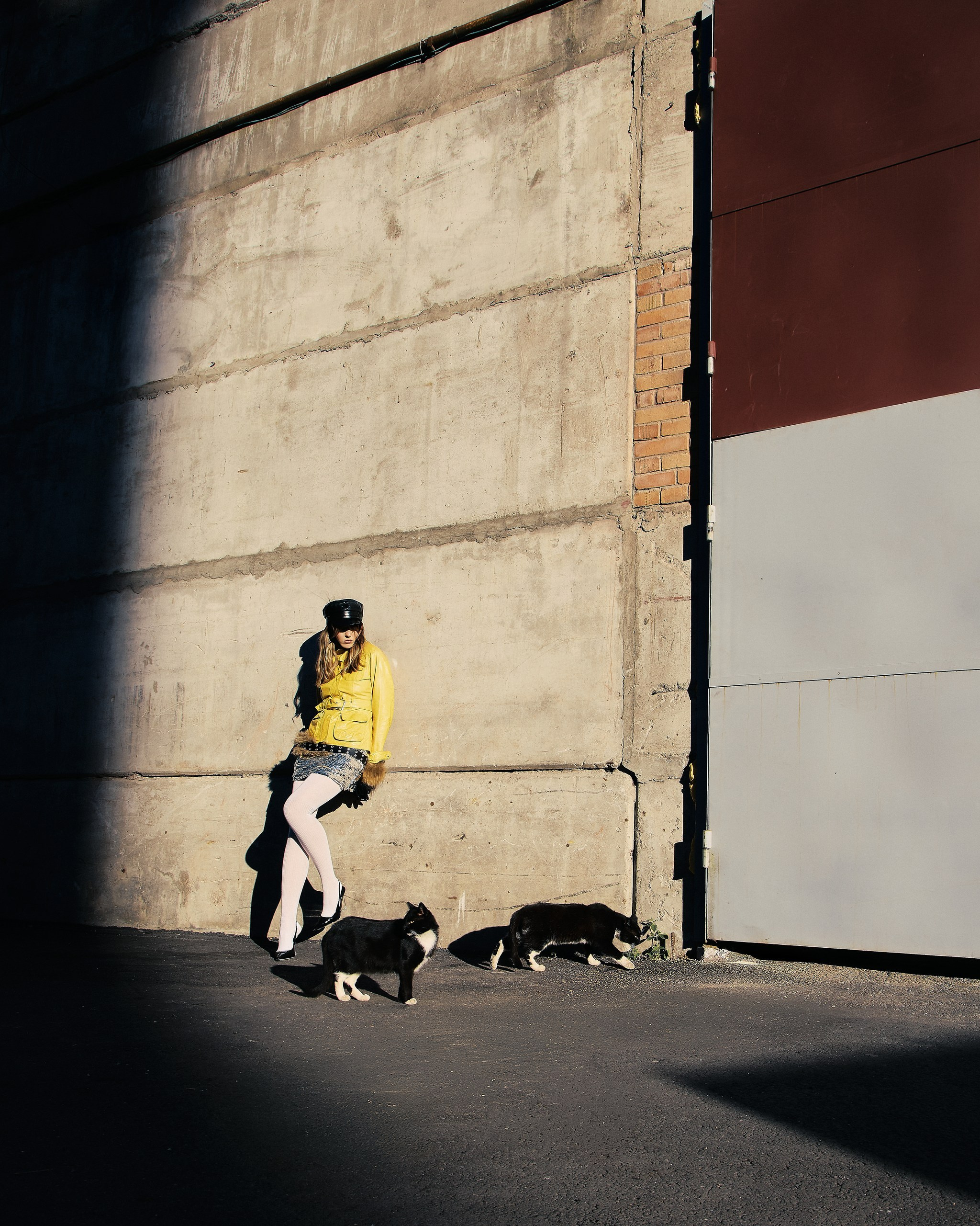 Paris fall. DDPRODUCTION CASES