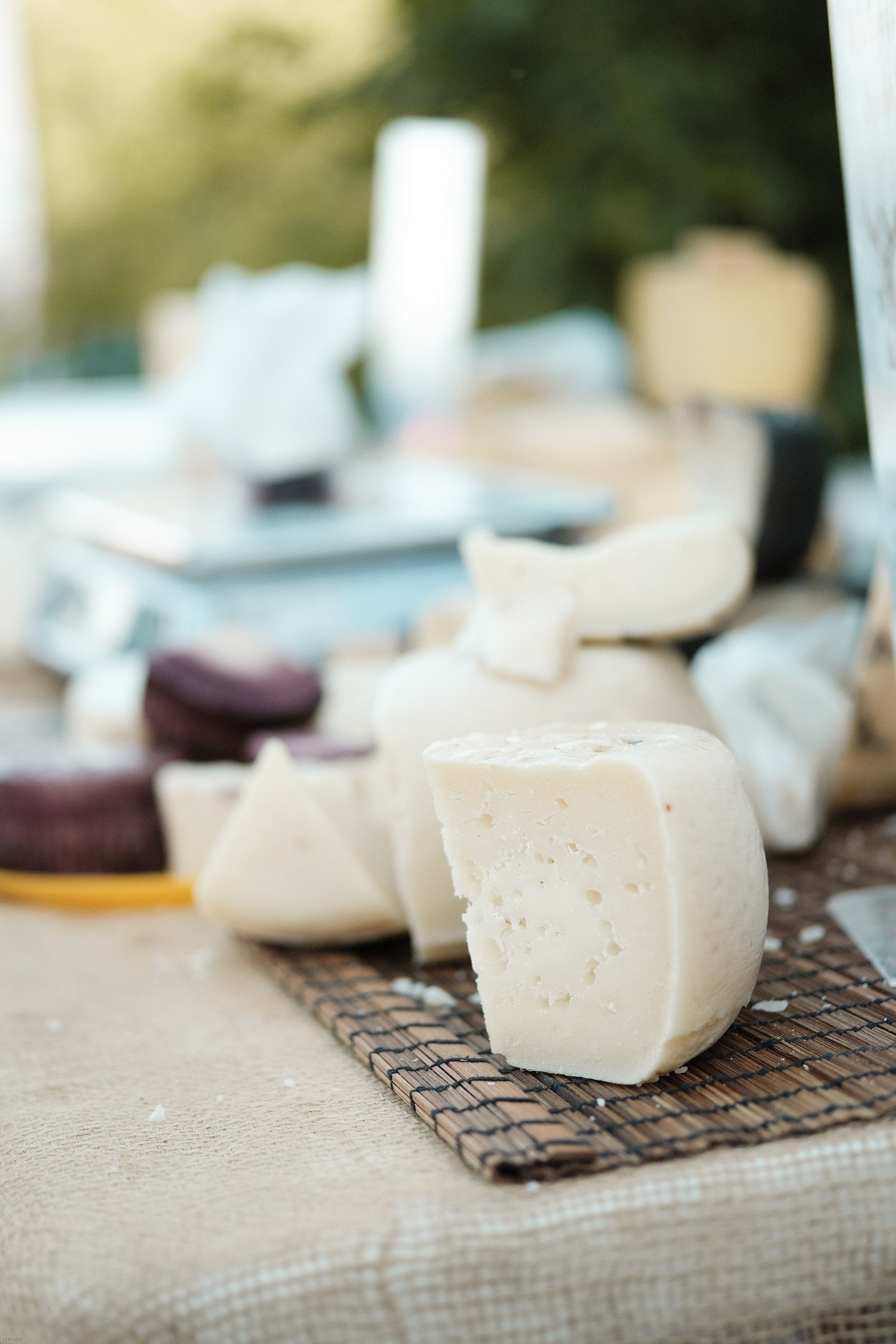 Эко-фестиваль АртЛуга 2023. LIYALEE PHOTO