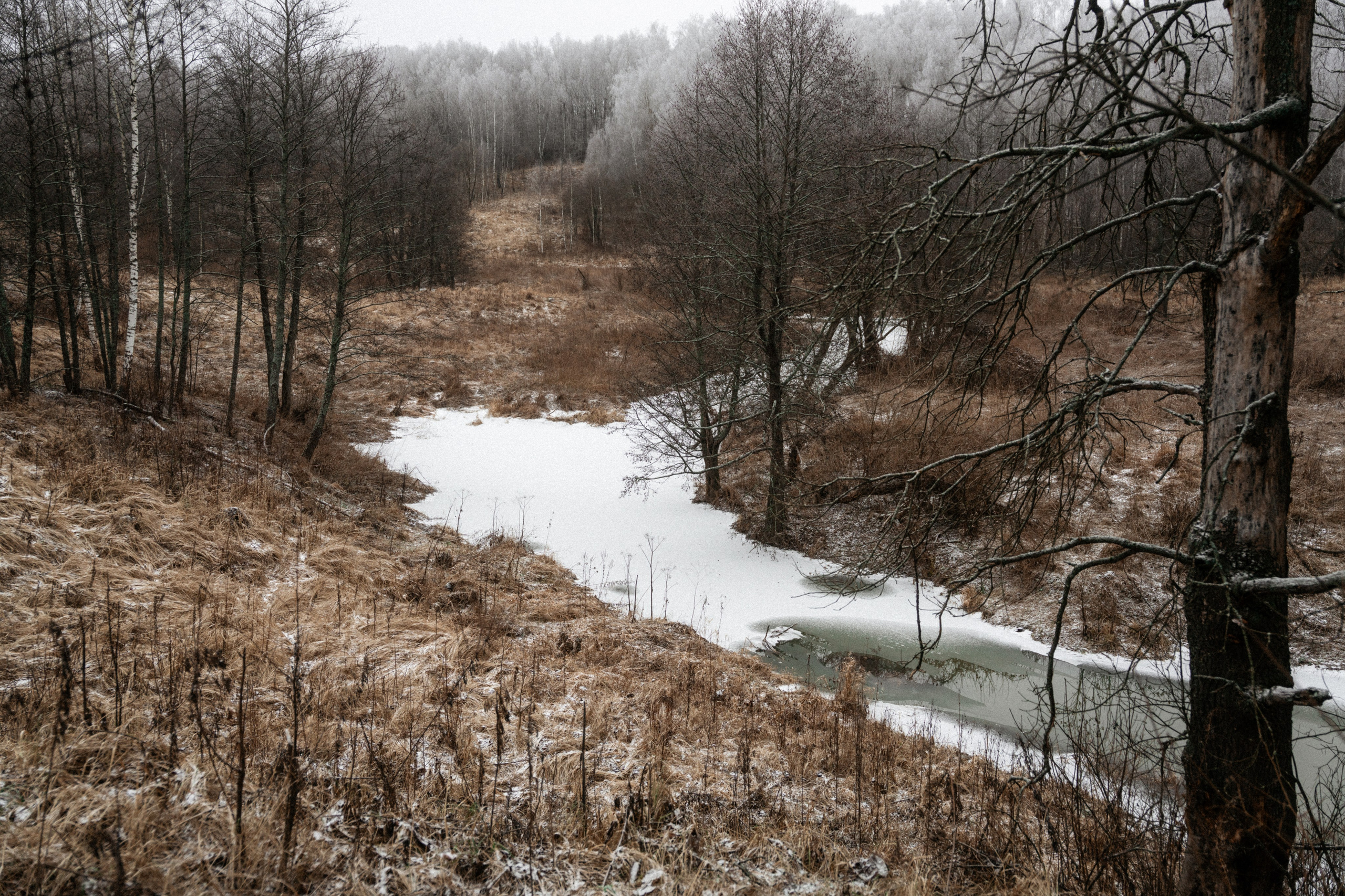 Прогулка по оврагу близ реки. Vlad Trykov