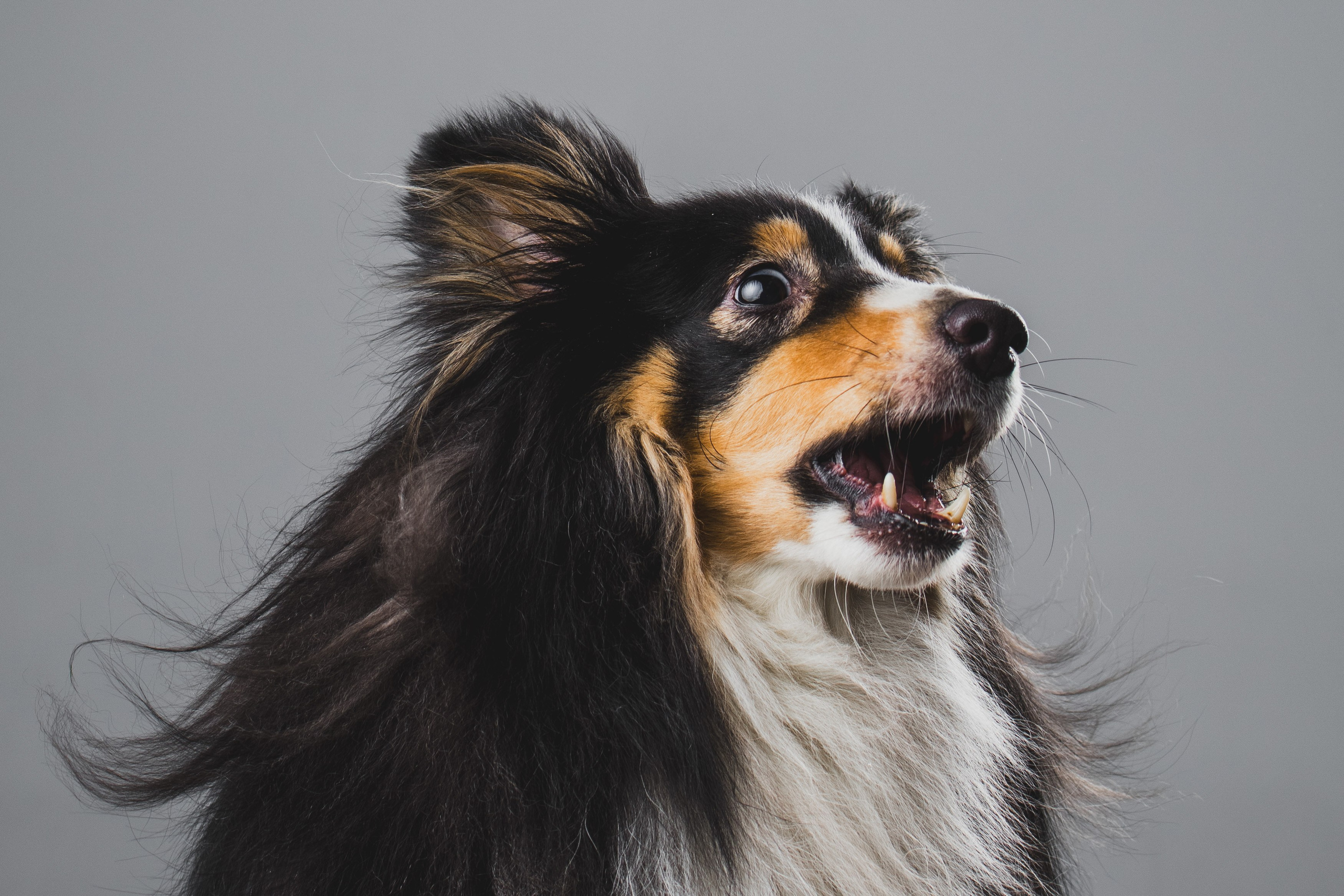 Воркшоп по импульсному свету