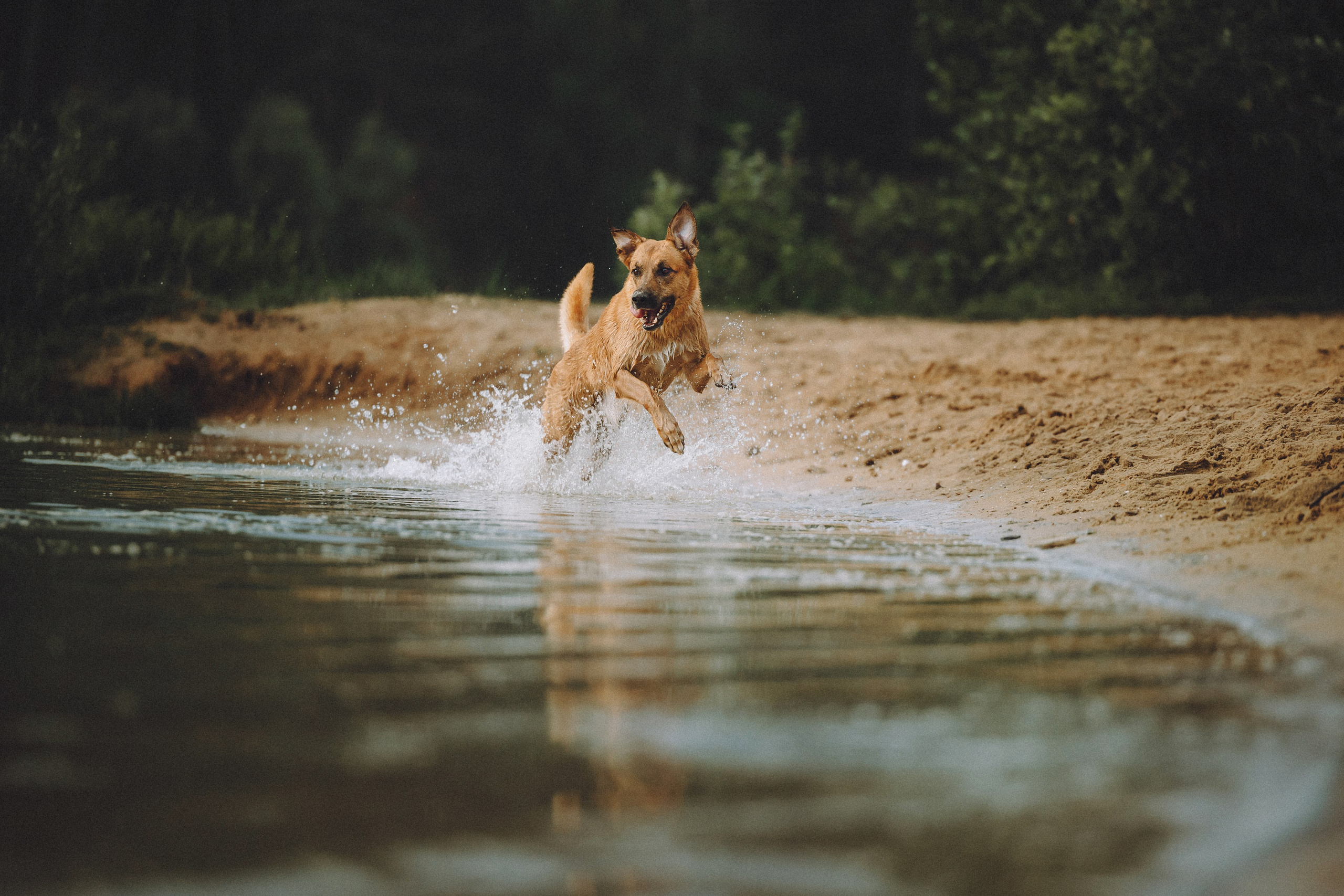 Роби, Тео и их семья