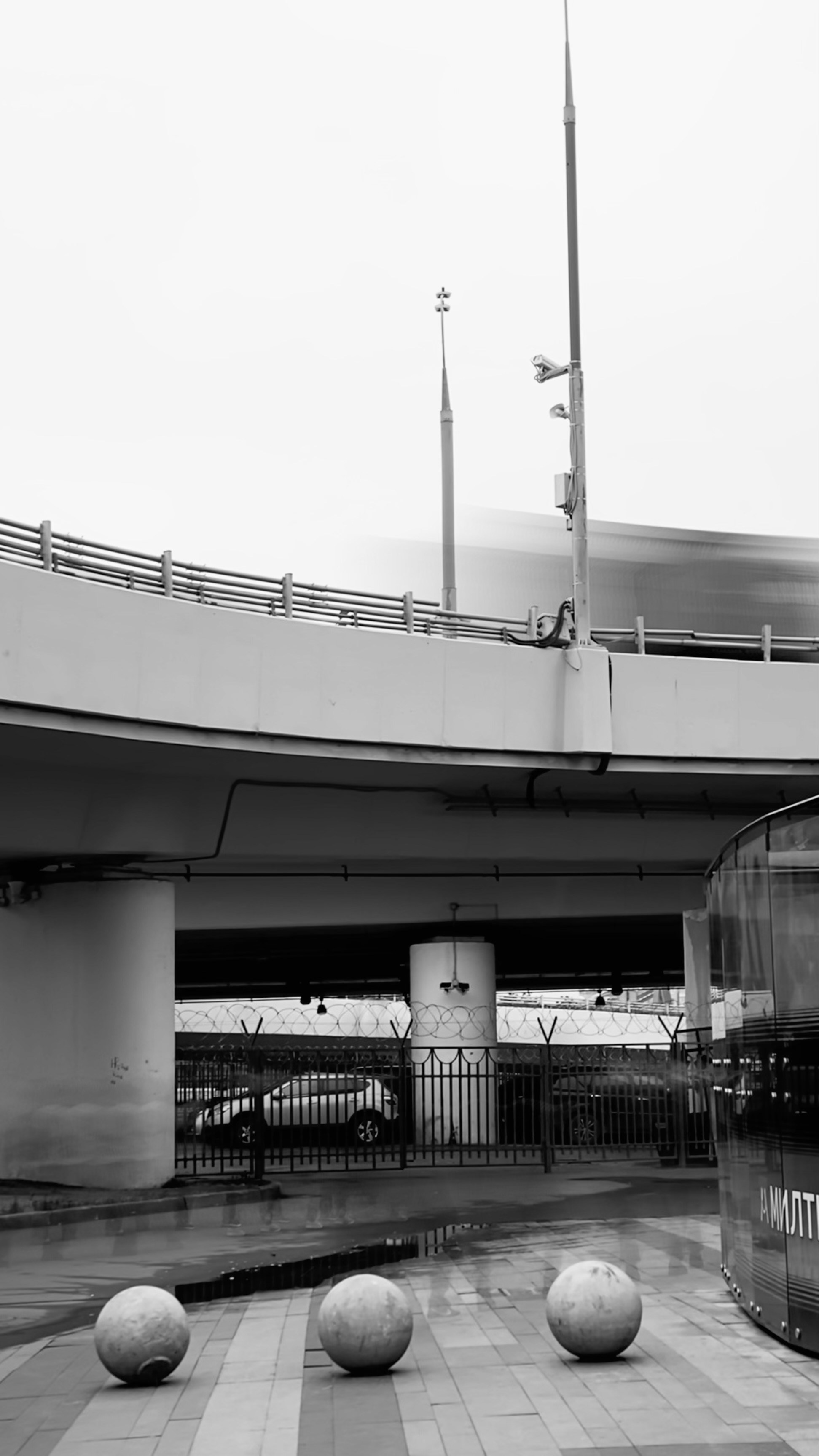 Мобильное фото. Фотограф в Москве Айгуль Евграфова