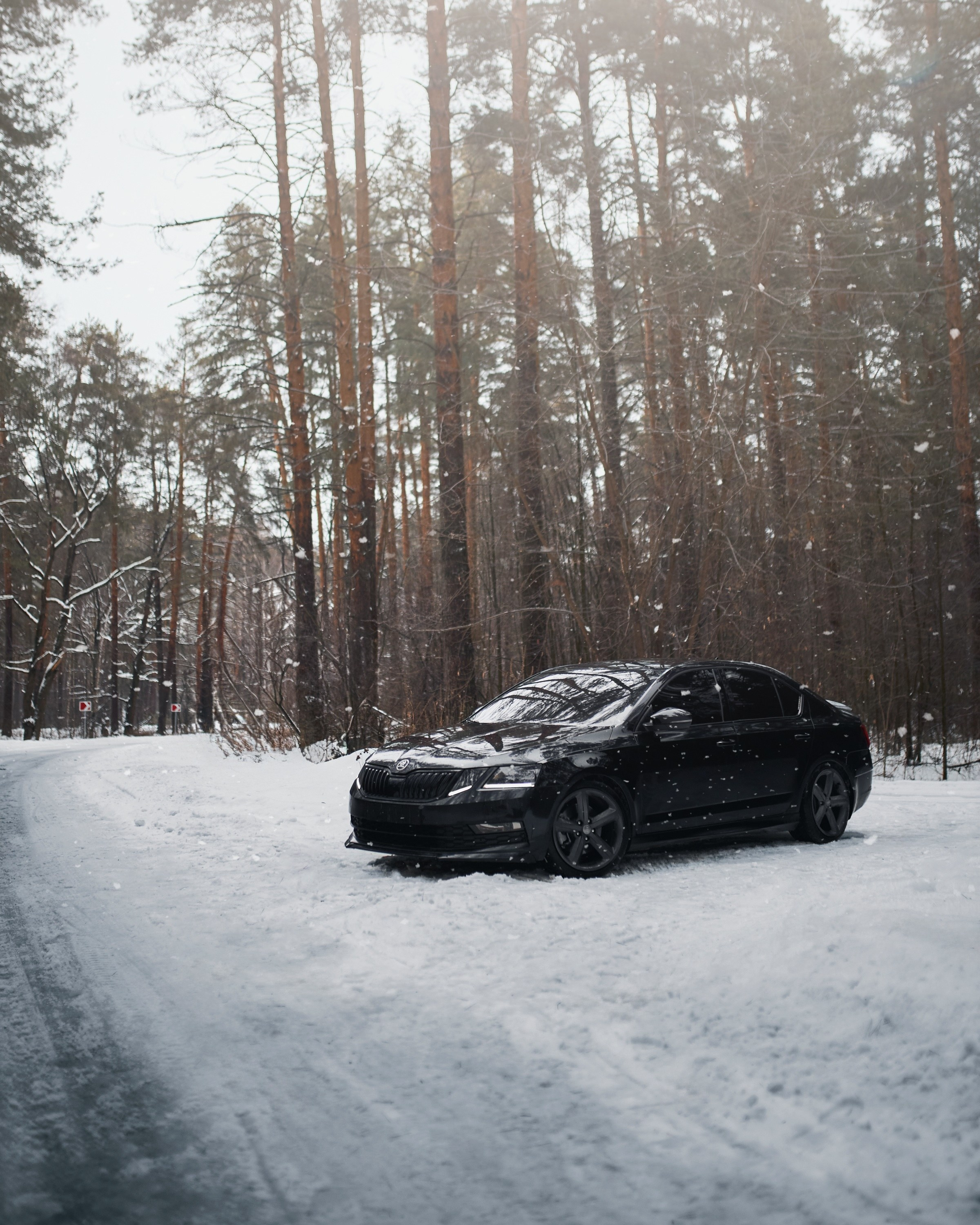 Skoda Octavia | @fuck_credit. DKARPOCHEVA PHOTOGRAPHY